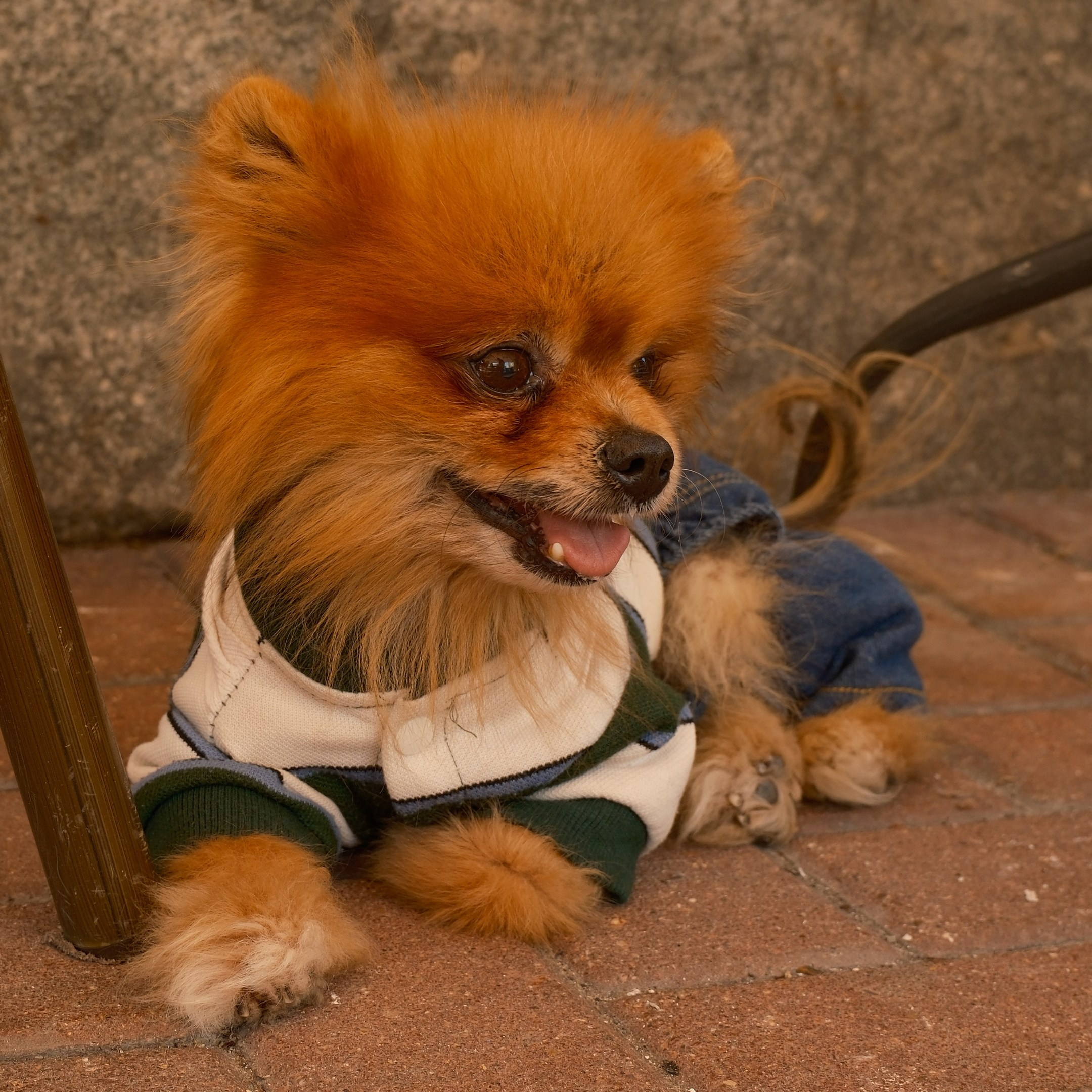 Улица, люди, жизнь…