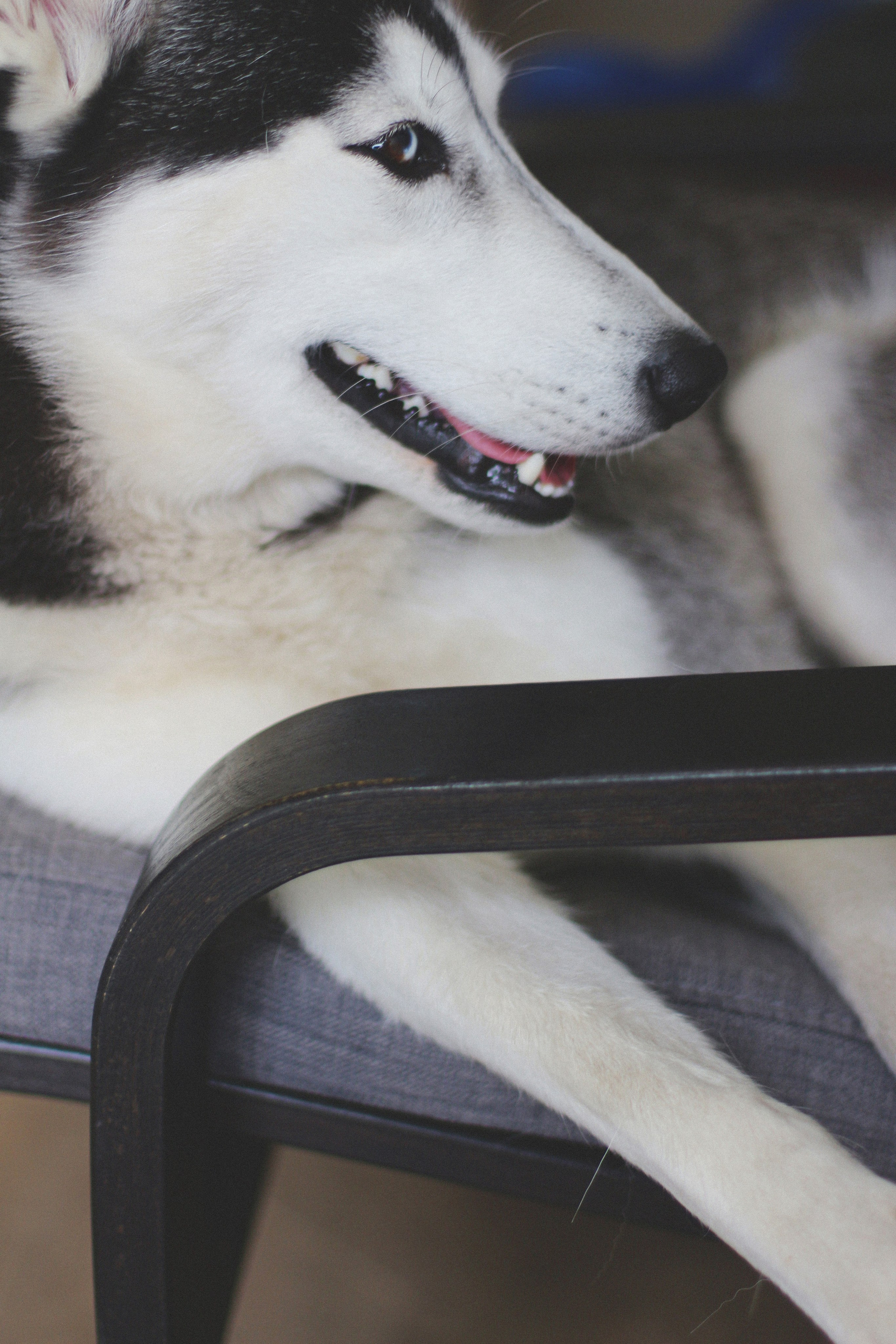 Марта. Фотограф Адигамова Юлия в Петербурге