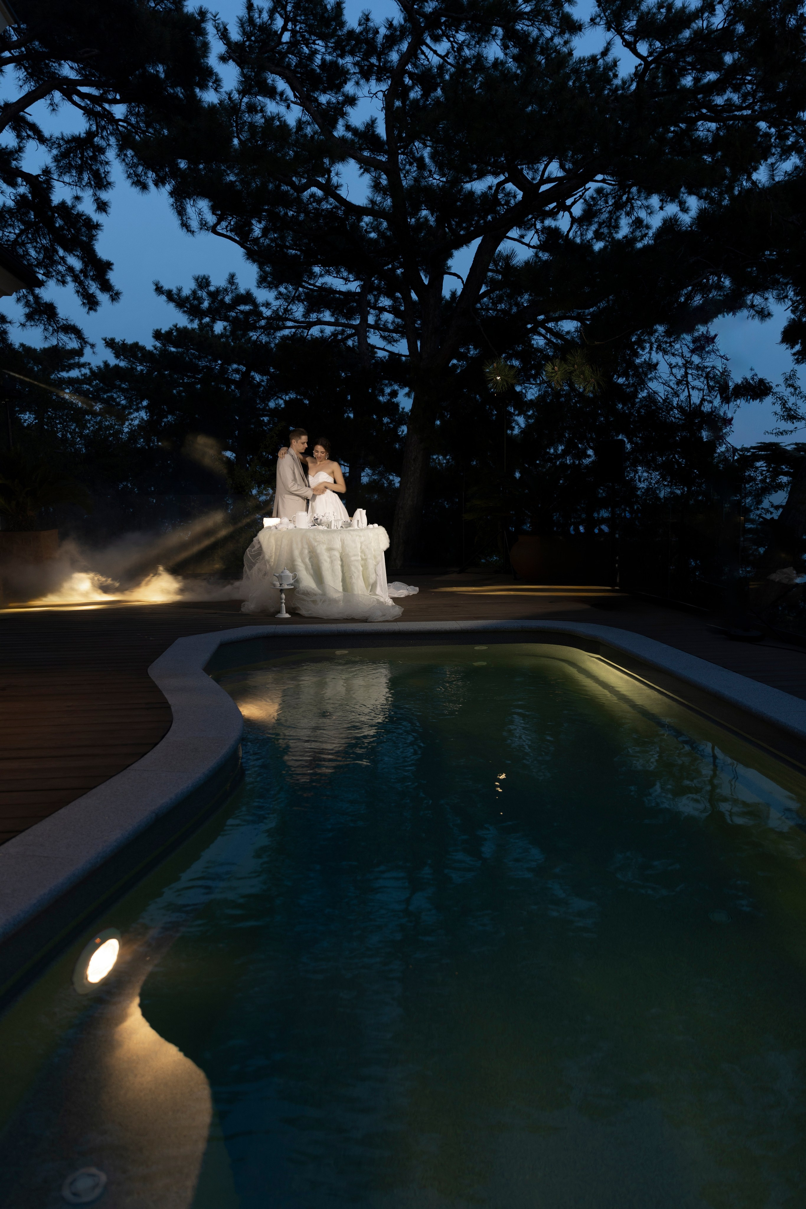 Журавли. Свадебный фотограф в Севастополе и Крыму. Видеограф на свадьбу Крым, Севастополь, Ялта, Симферополь