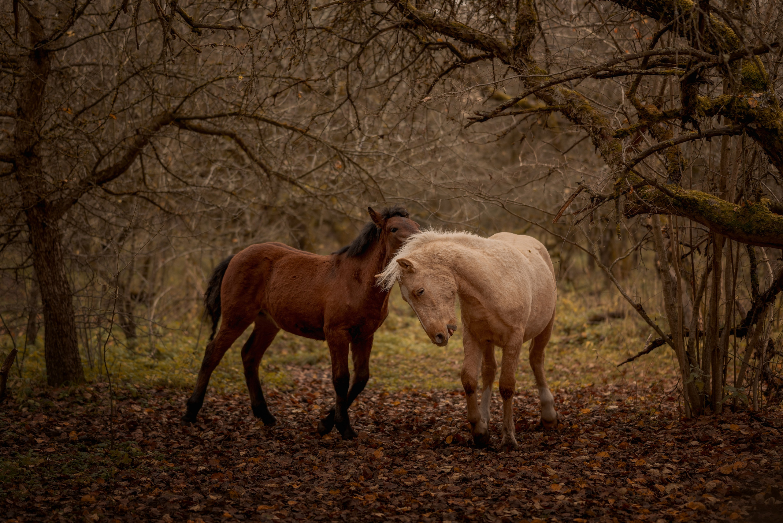 Места. Фотограф в Минске Дарья Кончакова