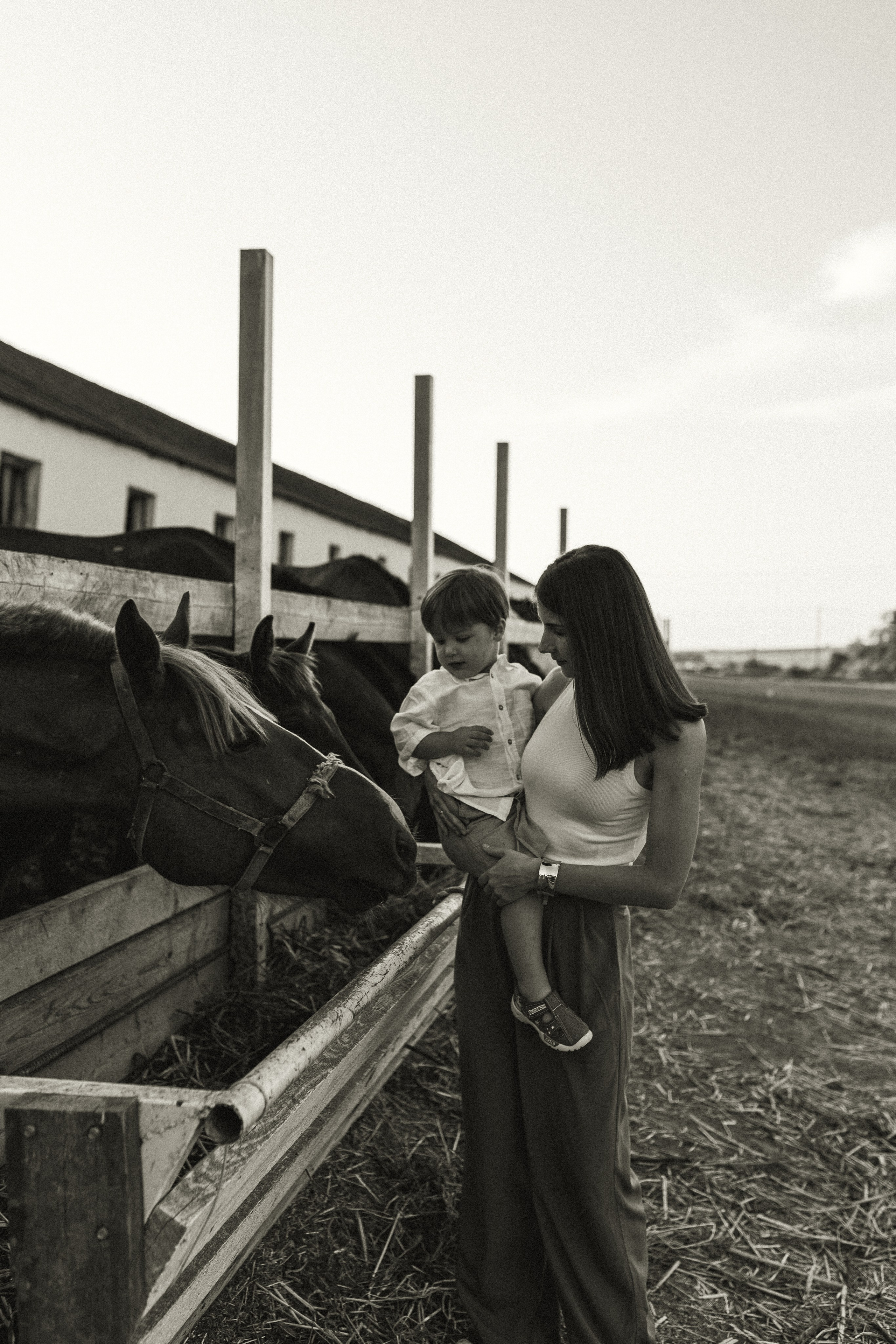 Миша Таня и Лев на ферме. Семейный фотограф в Новороссийске и Анапе Александра Яковлева