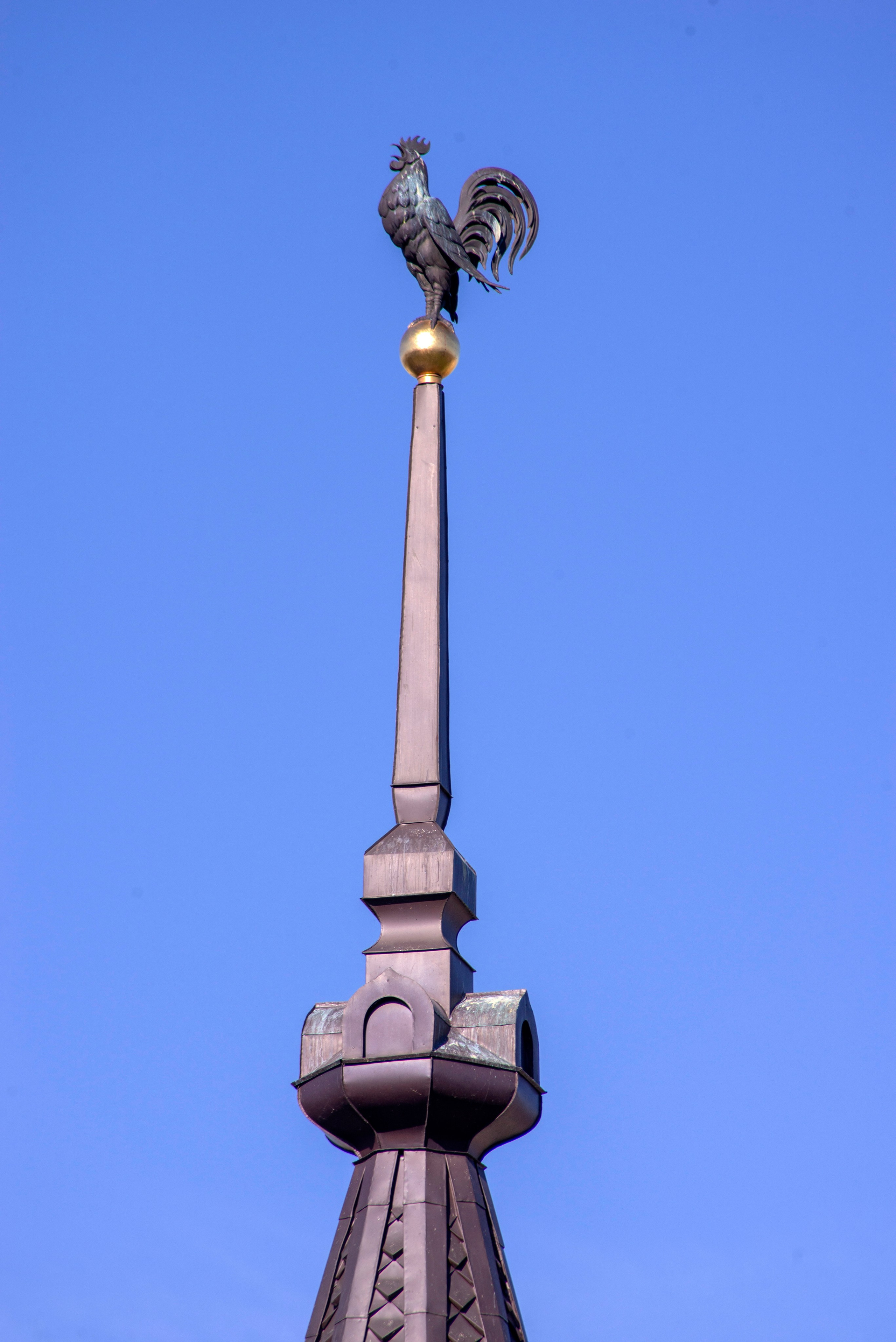 Тверь. 24–26 сентября 2025 (Nikon). Игорь Жучков. Россия увиденная глазами путешествующего фотографа