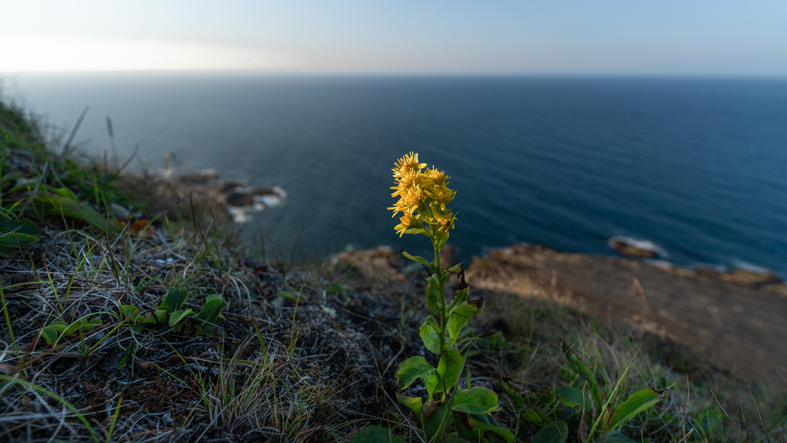 Кольский полуостров. ПОБУДЬ ЗДЕСЬ И ЦЕЛЕЕ БУДЕТ ЭТОТ МИР