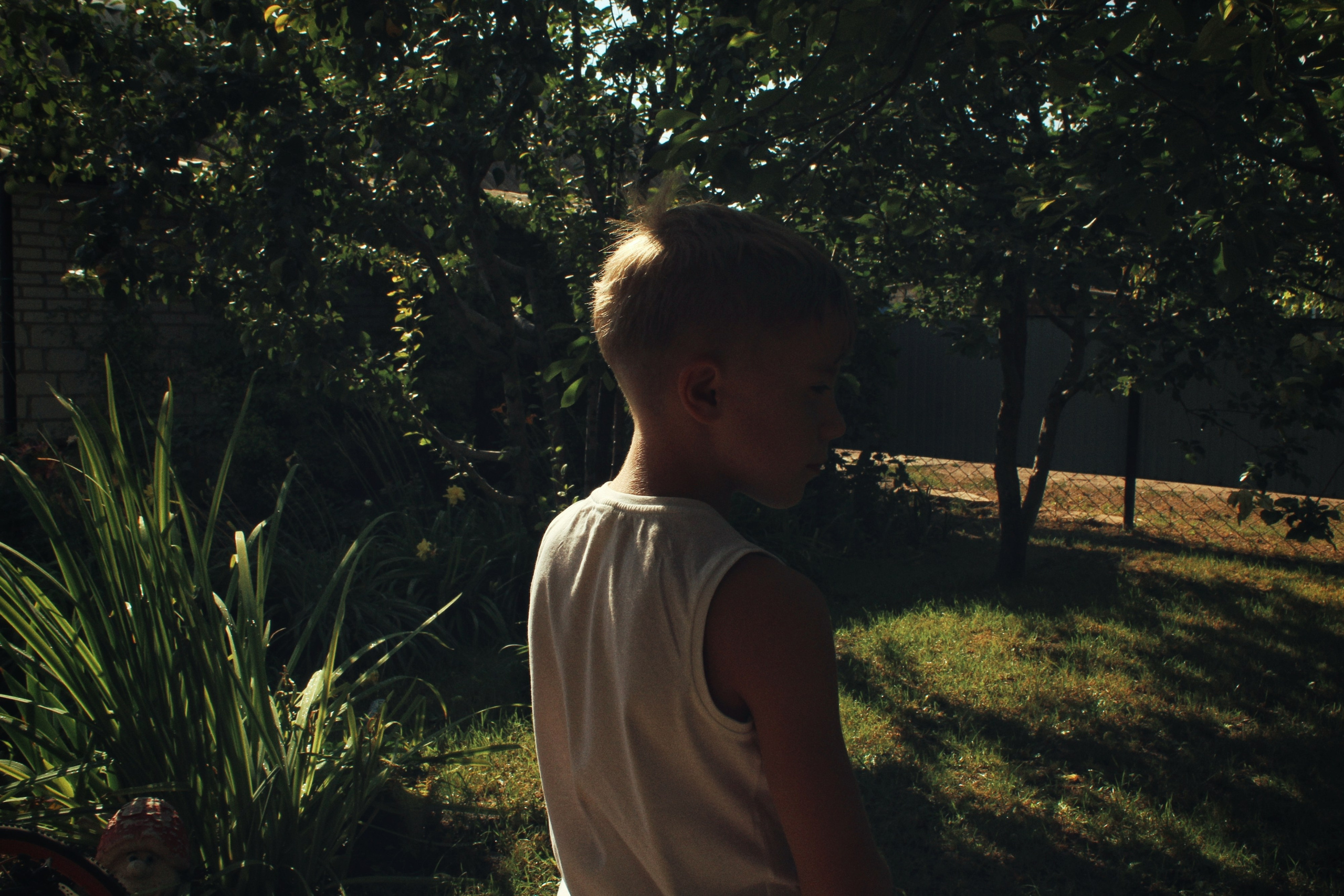 Во дворе, лето 2021 года