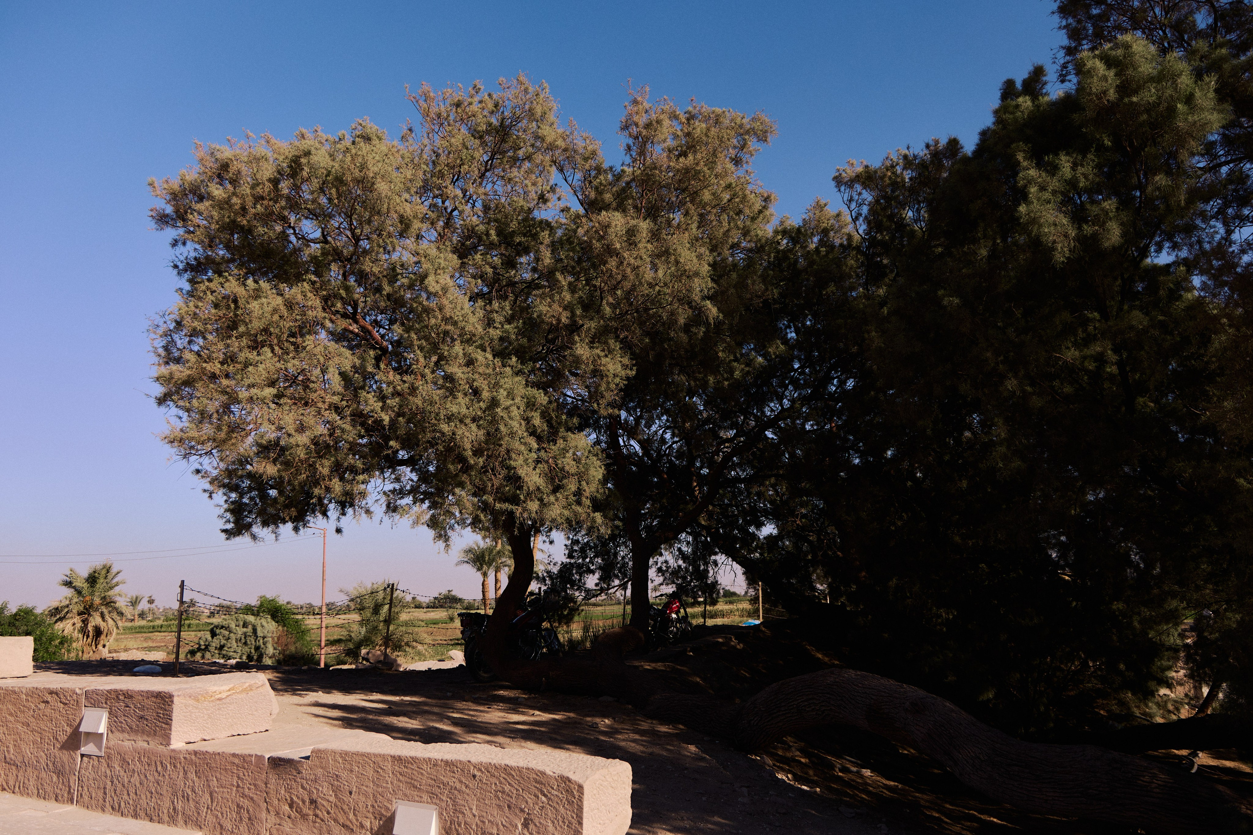 Другое 4. Jorgis — фотограф в Хургаде / обучение фотографии