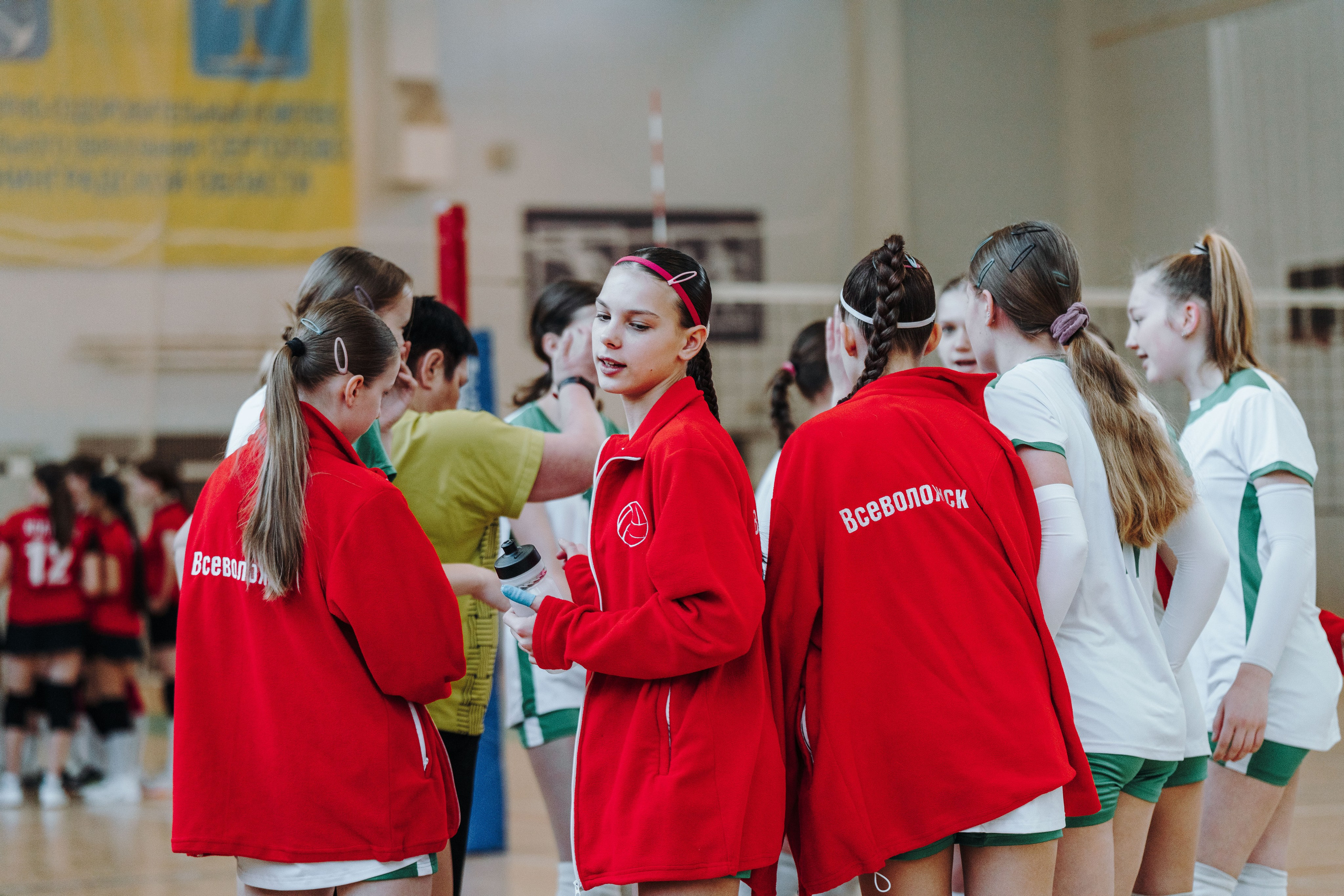 Волейбол торус. Фотограф-анималист в Санкт-Петербурге
