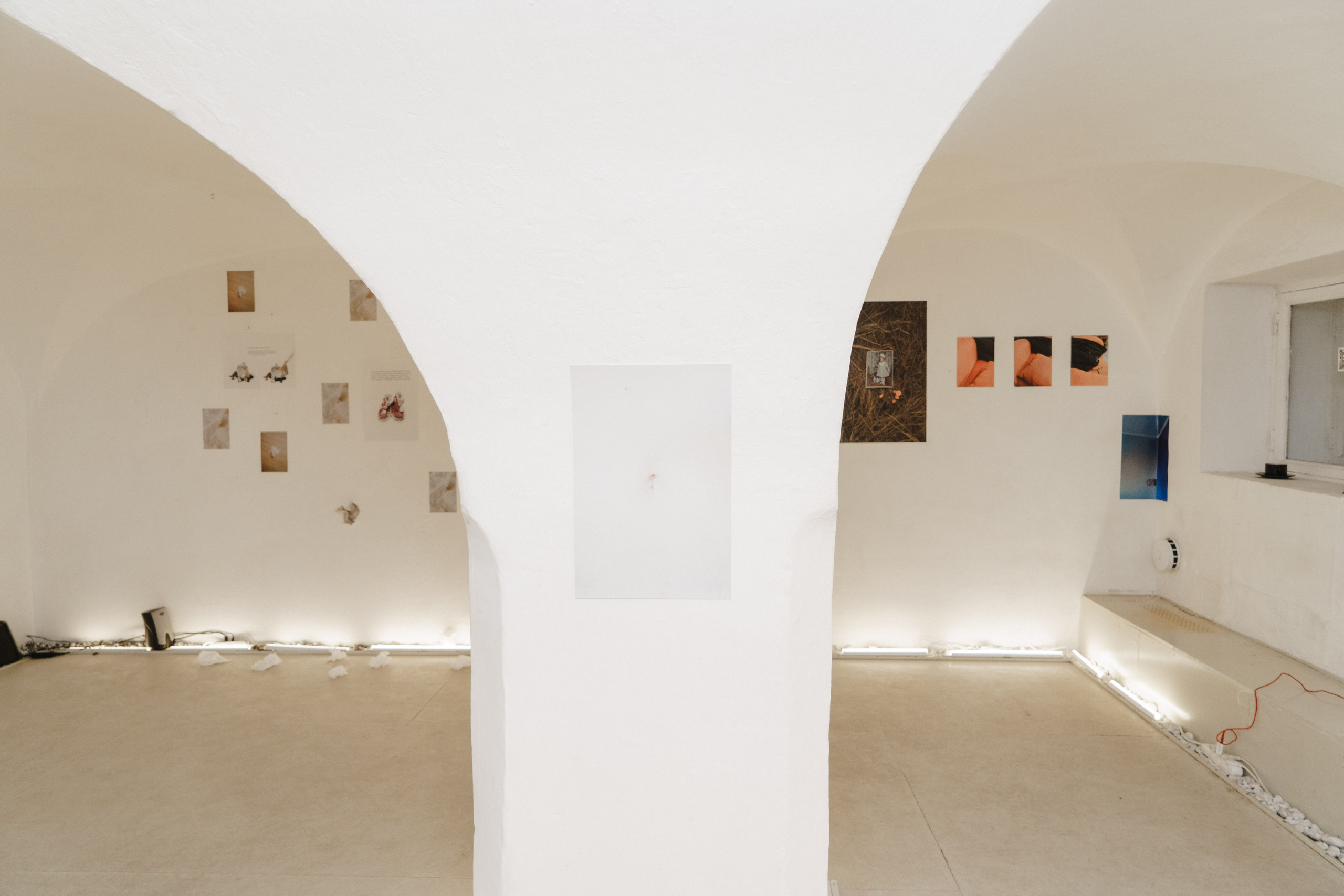 Эффект присутствия. Козлова Екатерина. Междисциплинарная визуальная художница