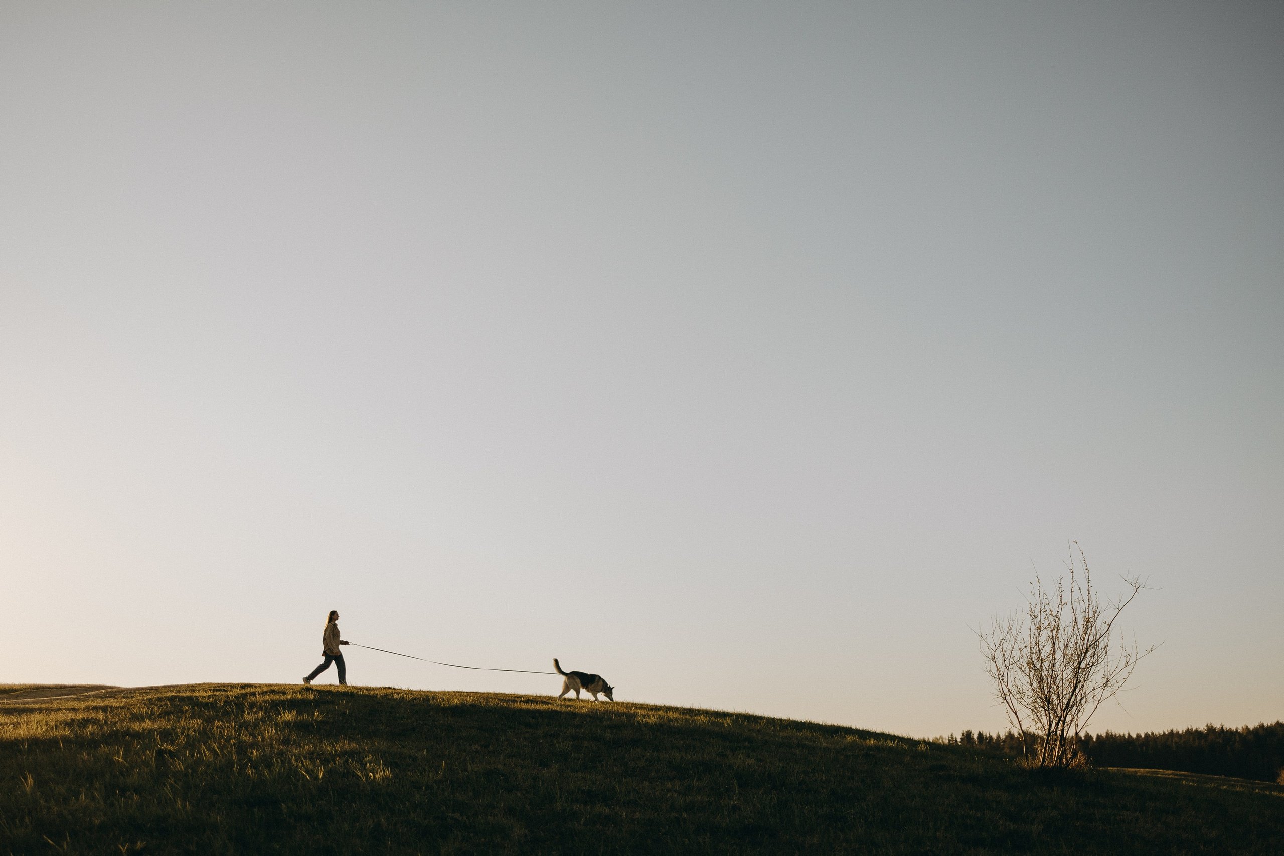Саша и Зельда. Фотограф — Анималист | Санкт-Петербург