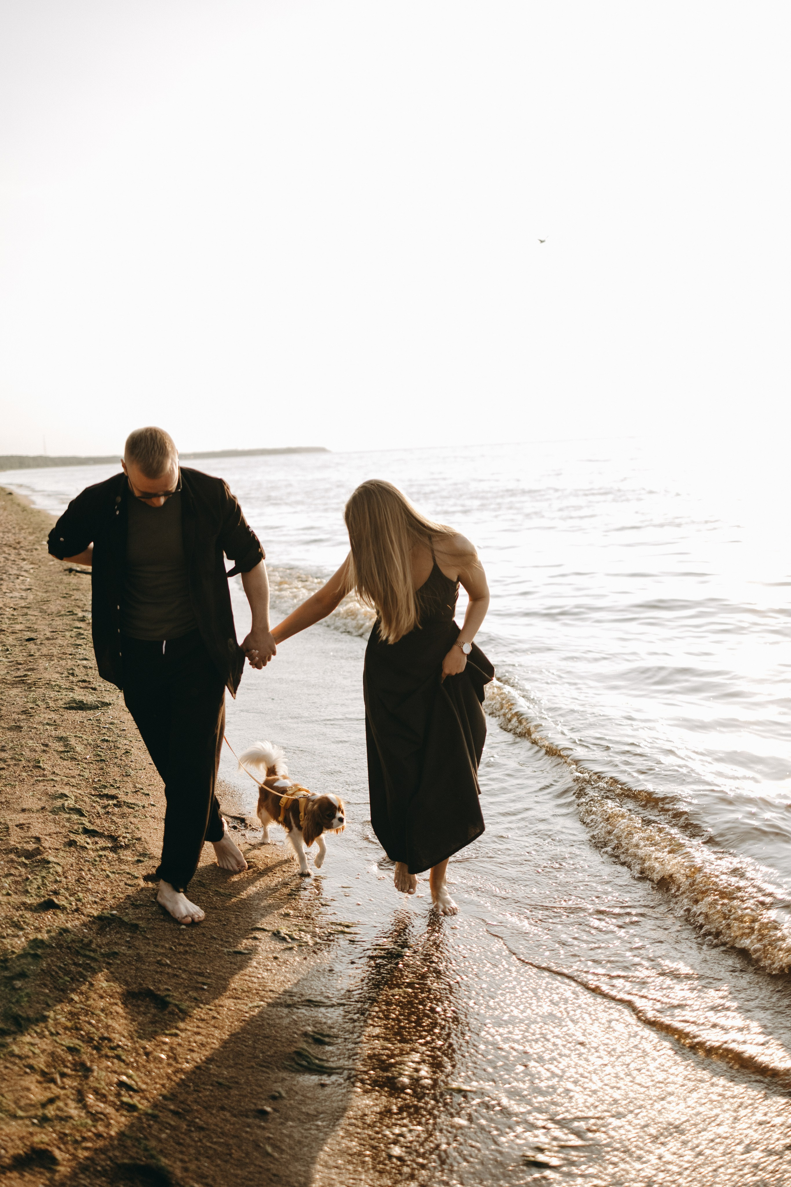 Лу и его семья. Фотограф — Анималист | Санкт-Петербург