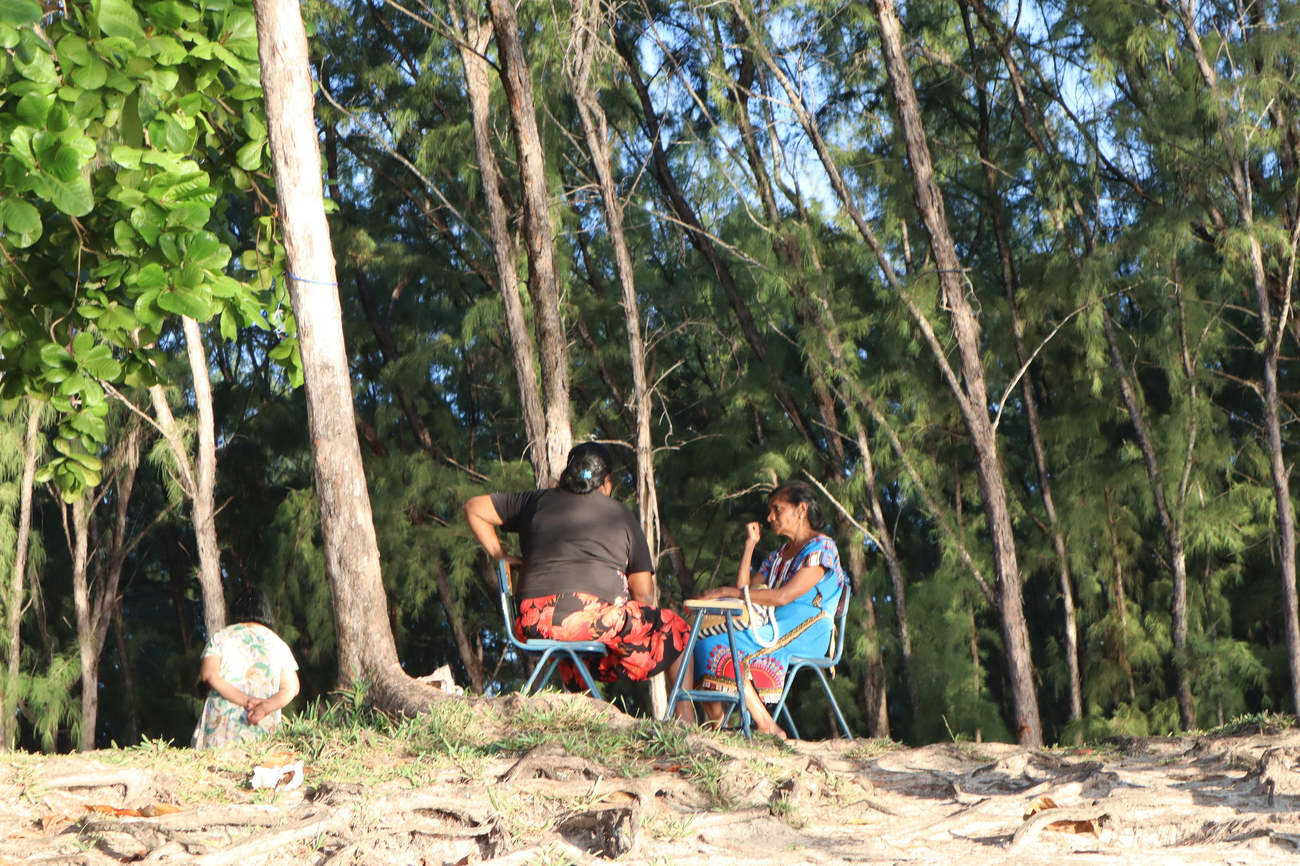 Путешествие на родину птицы додо. Travel photographer Ksenia