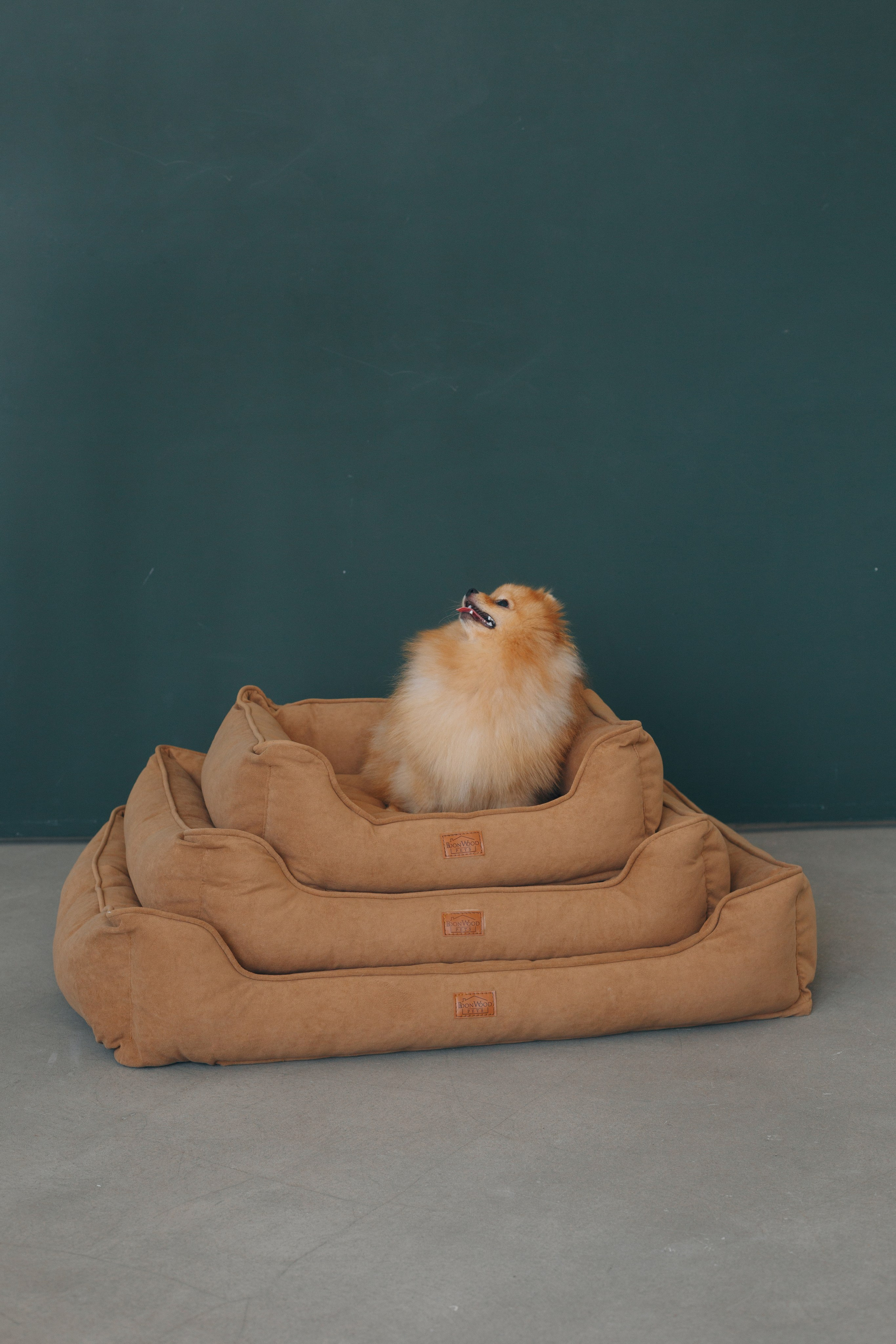 Boonwood Pets лежанки для животных. Фотограф анималист Кристина Карпова, Москва