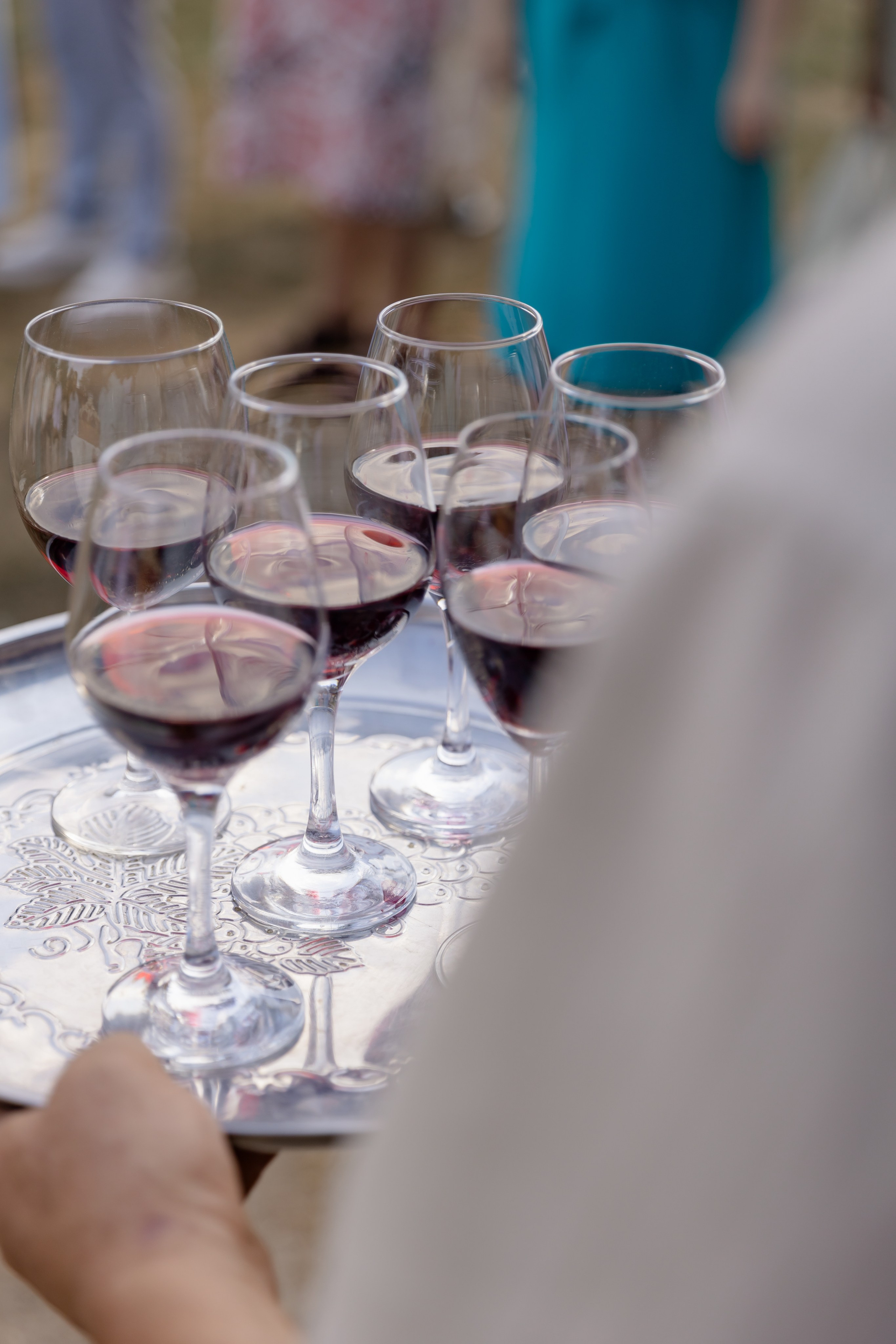 Виноградники. Dima Lemeshevsky