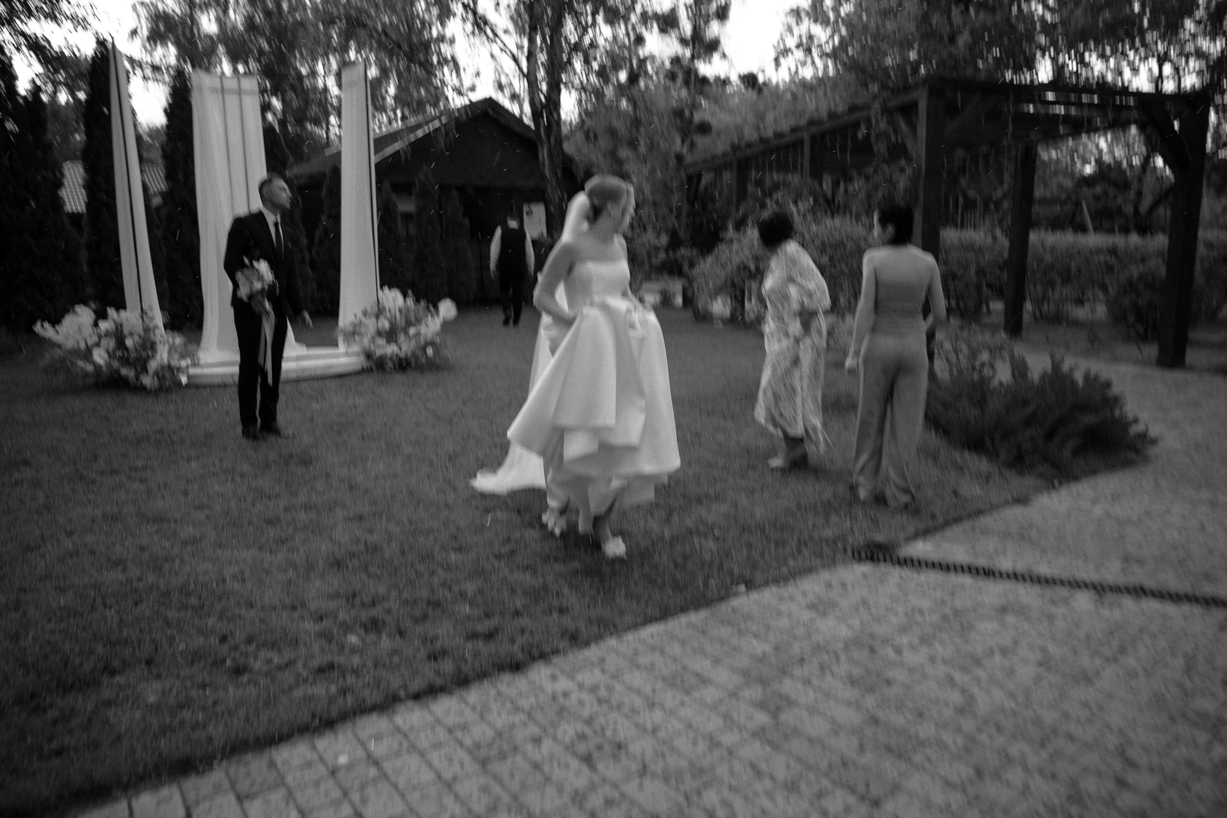 Свадьба пес и котики. Dima Lemeshevsky