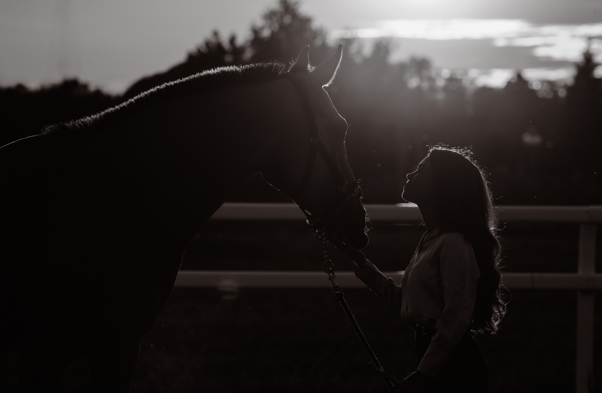 Лена и Персей. Фотограф-анималист Ксендзова Кристина