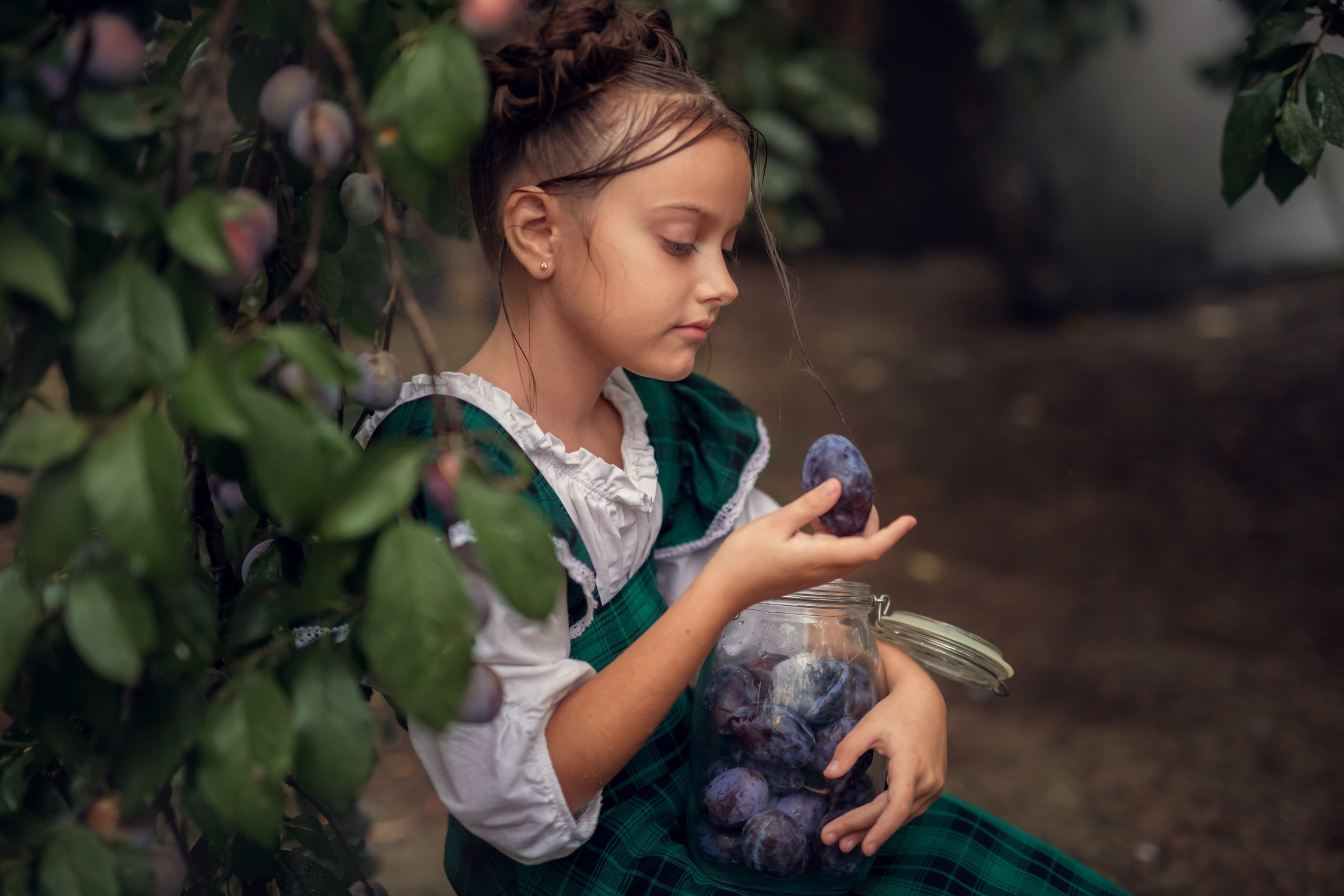 Сливовая история. Семейный и детский фотограф Екатерина Савёлова