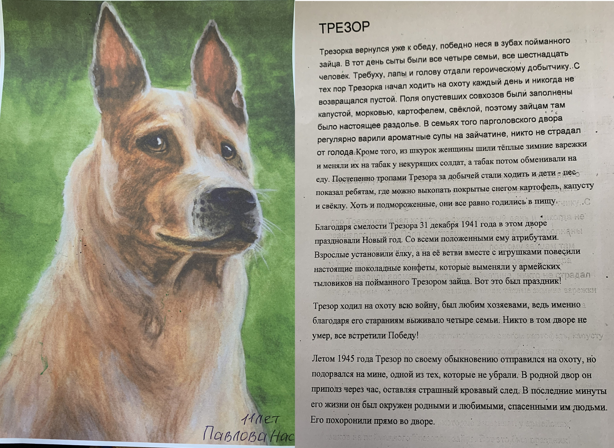 Акция рисунков «Собаки-герои Великой Отечественной войны». НРОО КЦ "Собаковод"