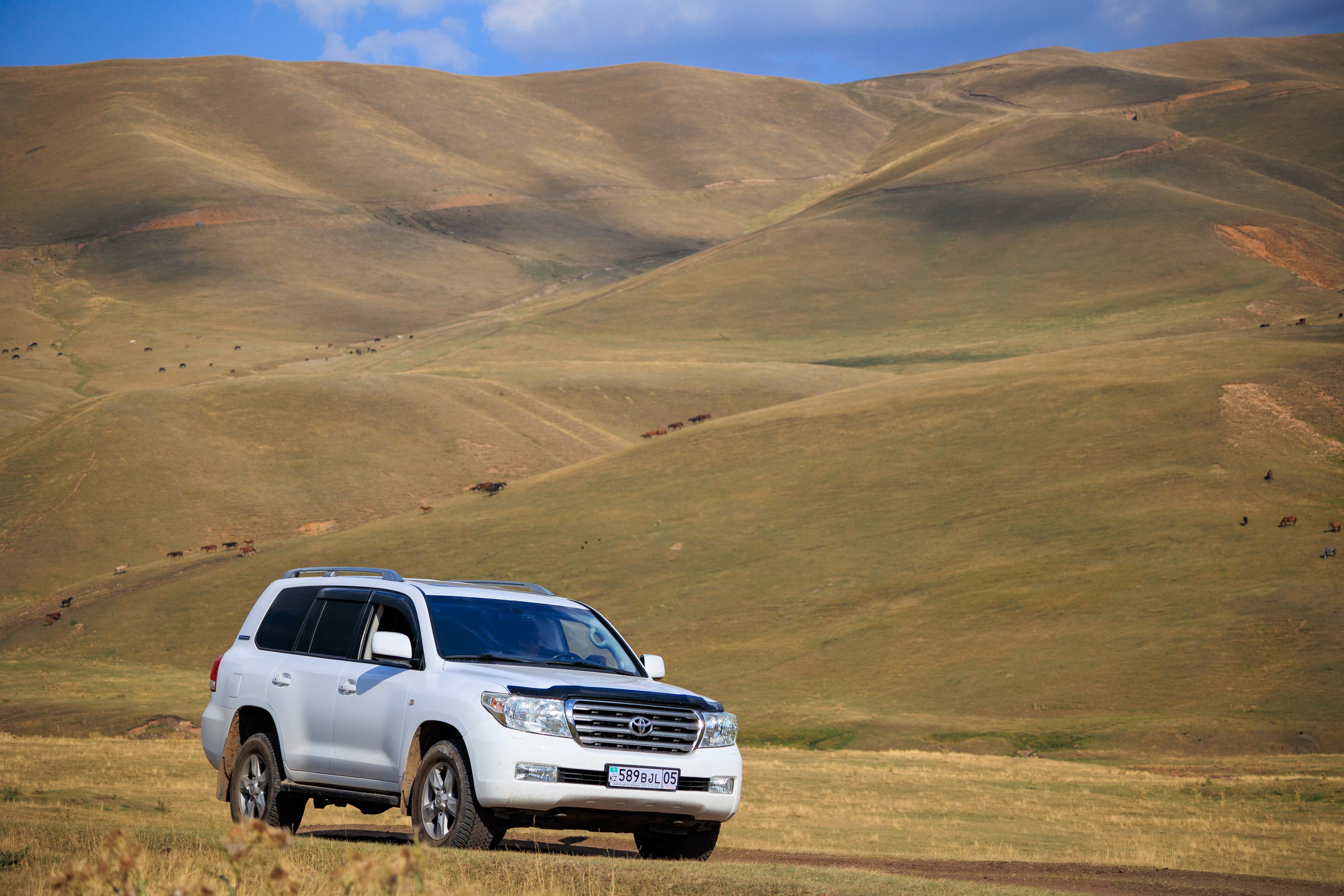 Поездка на плато Ассы и за пределами. Экскурсии и туры по Алматы