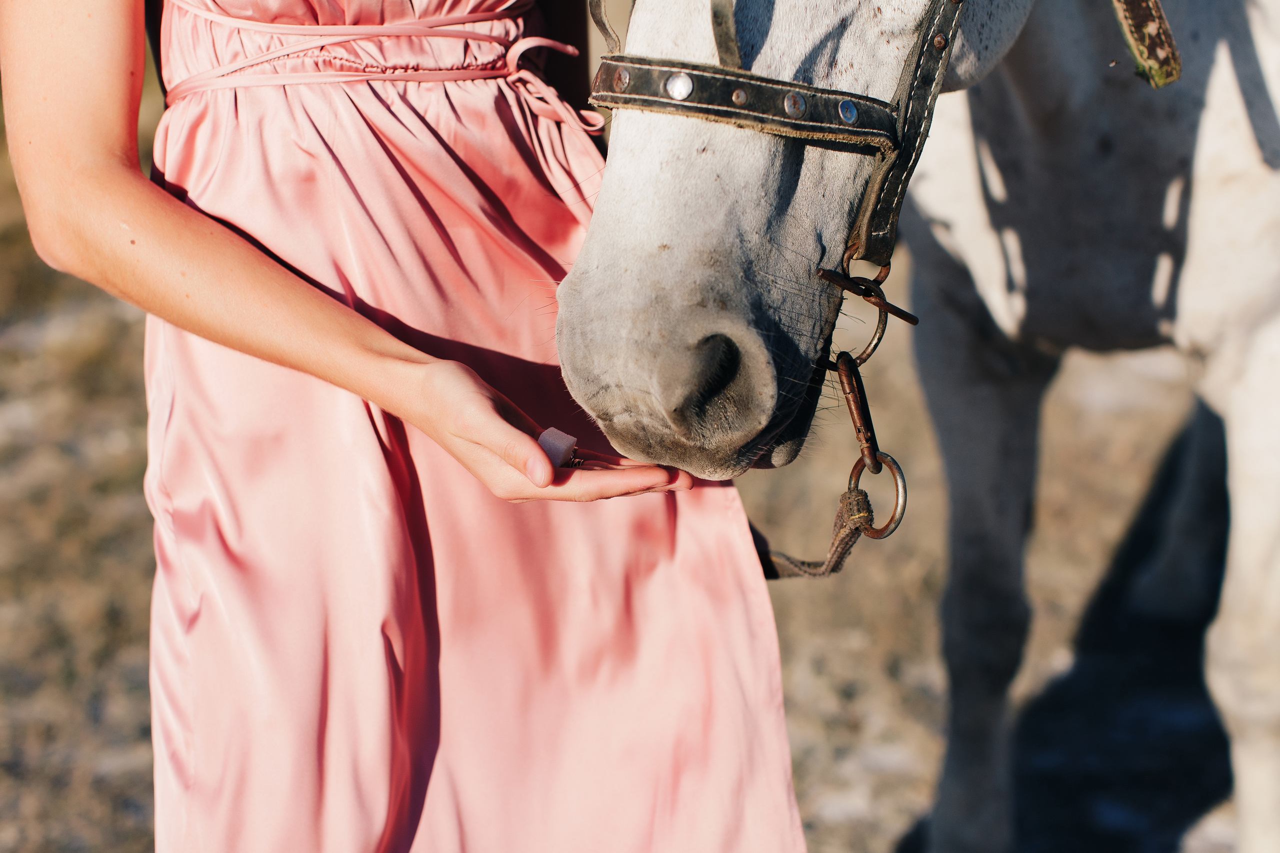 Софья и Сергей. Свадебный и семейный фотограф