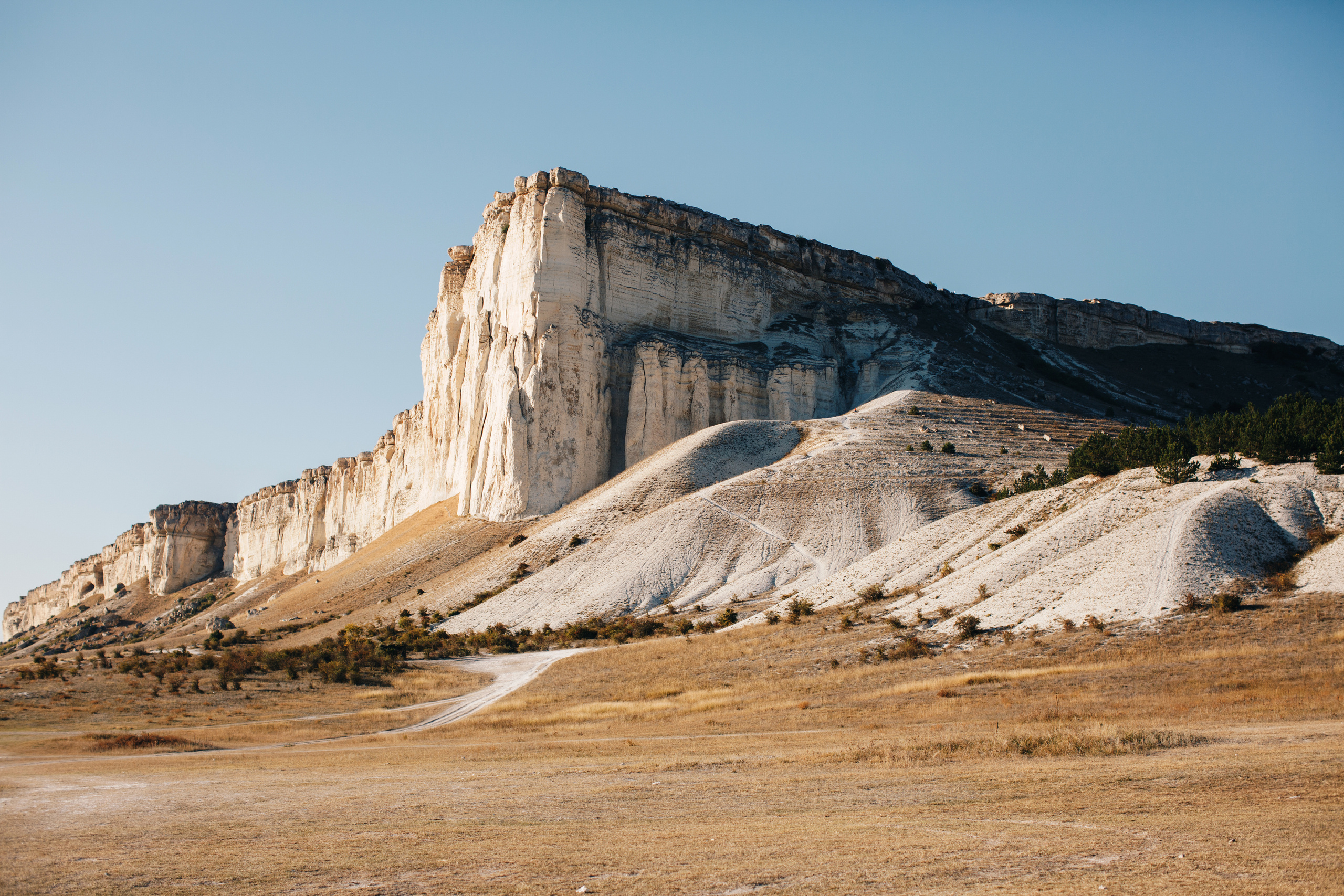 Софья и Сергей. Свадебный и семейный фотограф