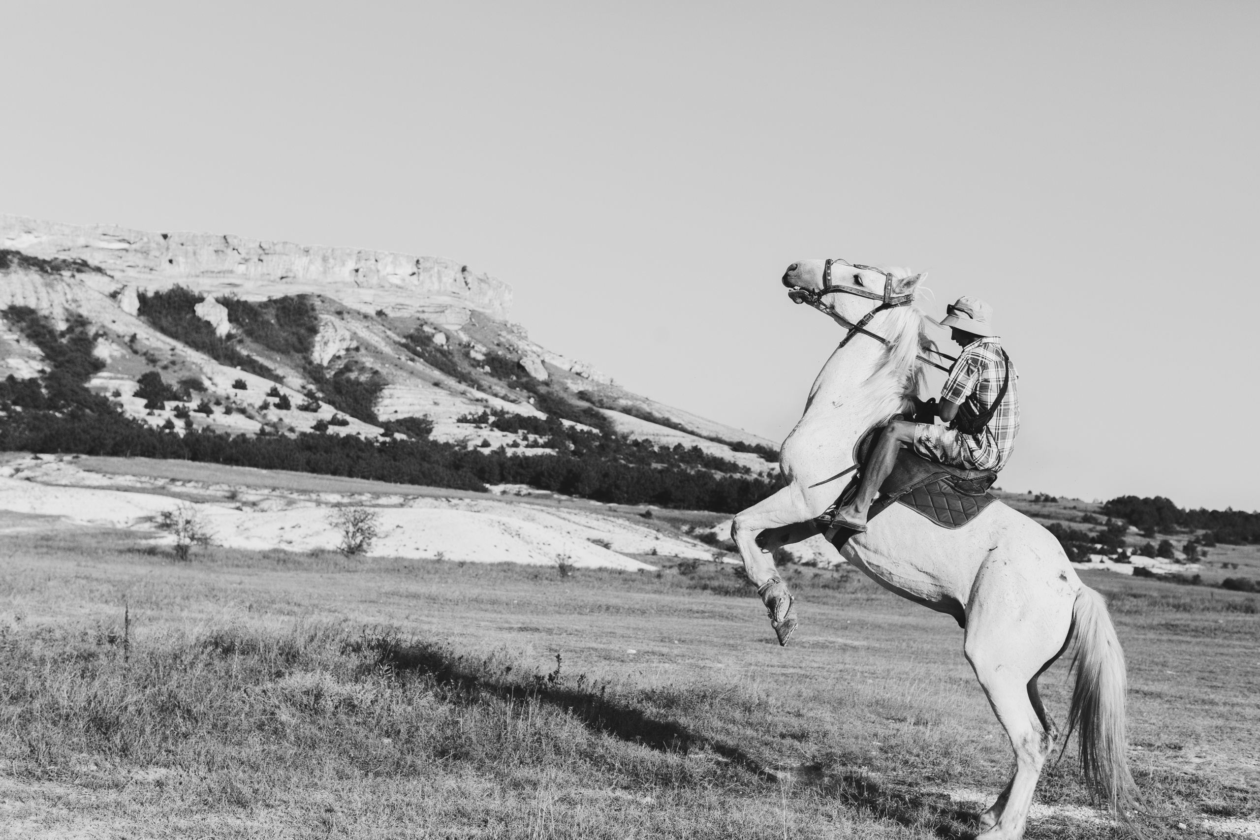 Софья и Сергей. Свадебный и семейный фотограф