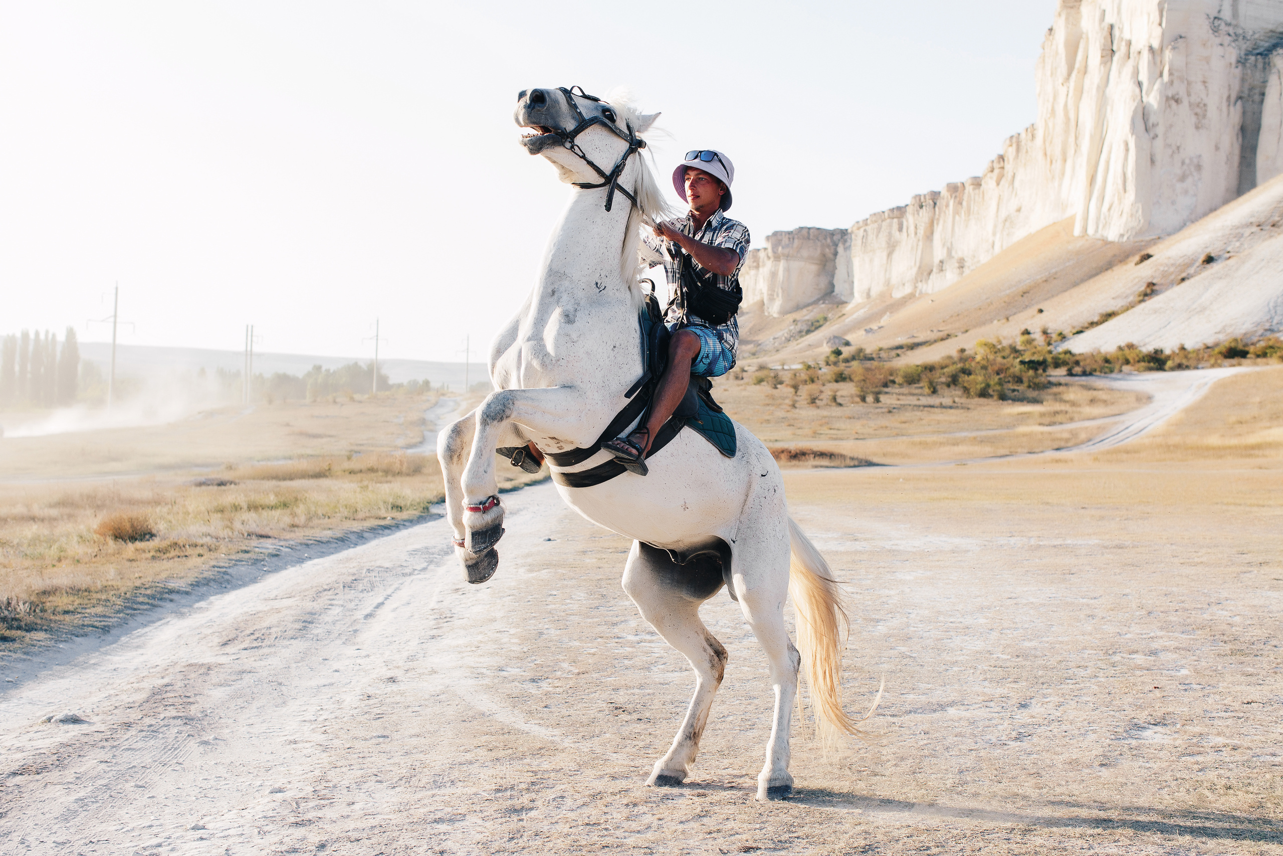 Софья и Сергей. Свадебный и семейный фотограф