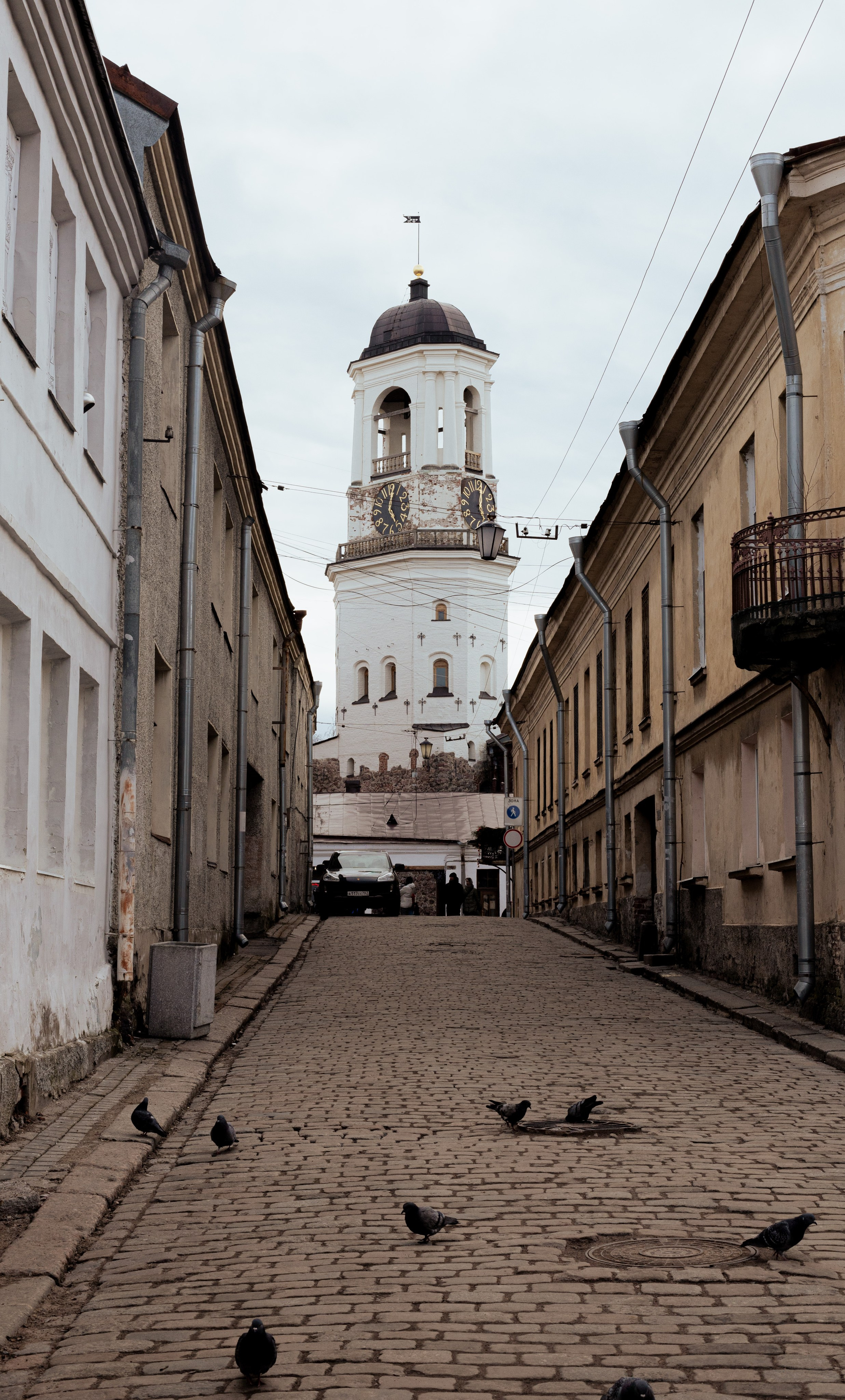 Пейзажи. Привет, я Лиза, я  занимаюсь портретной фотографией всех направлений в Санкт-Петербурге