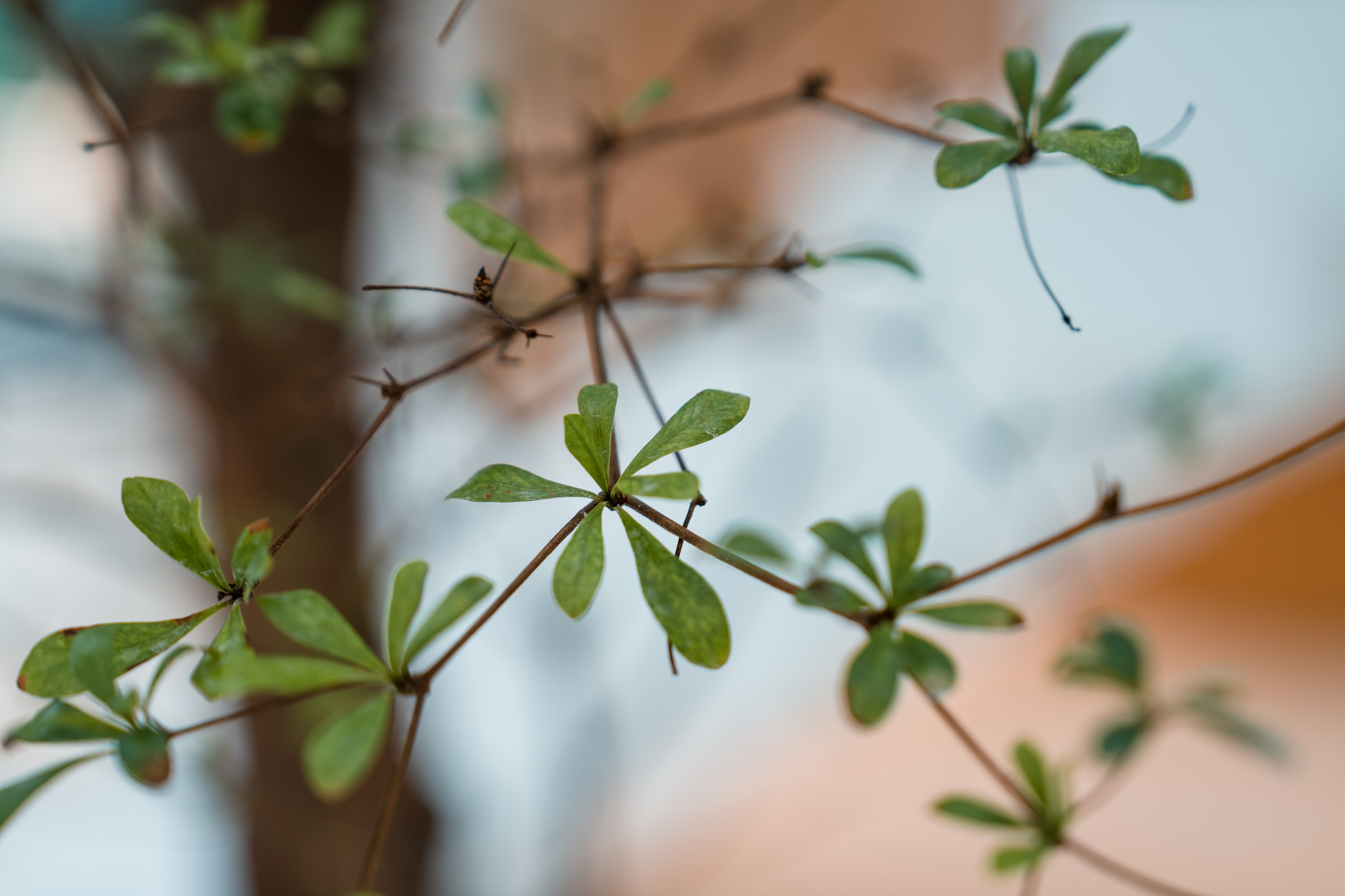 Moments, FORMA. @tomrus: Рустам Шагиморданов — фотограф