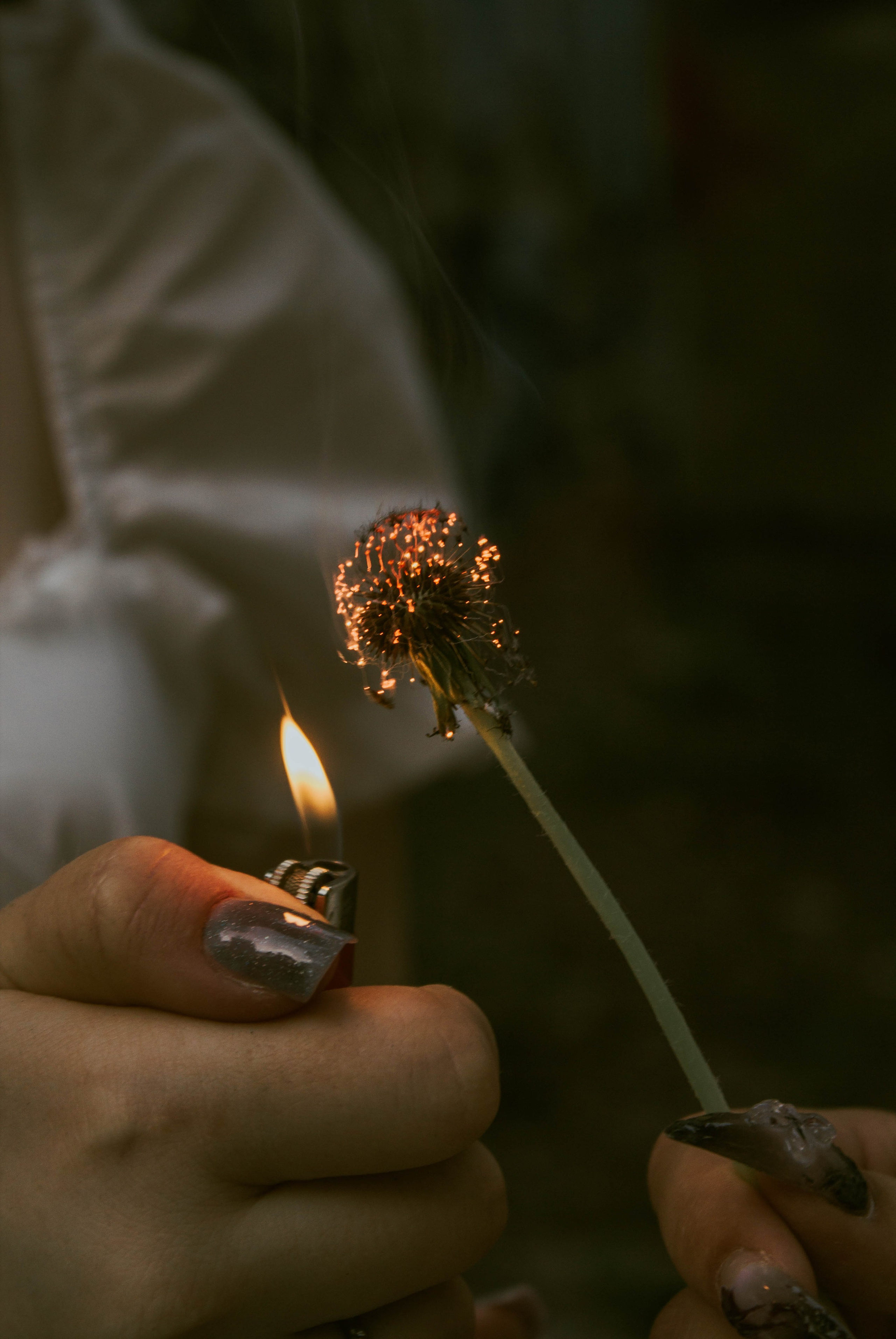 «Без названия»