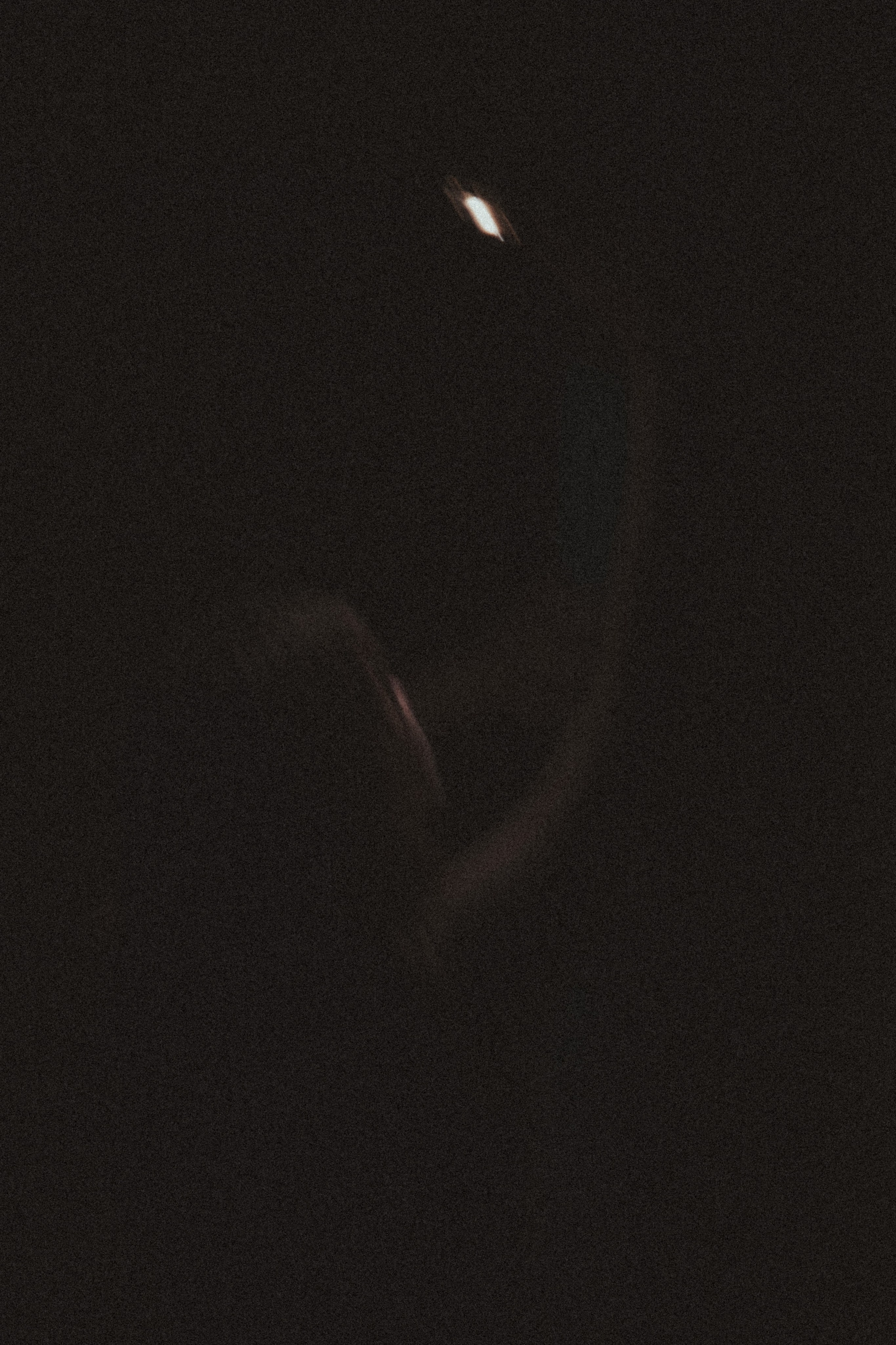 Подвальные блохи