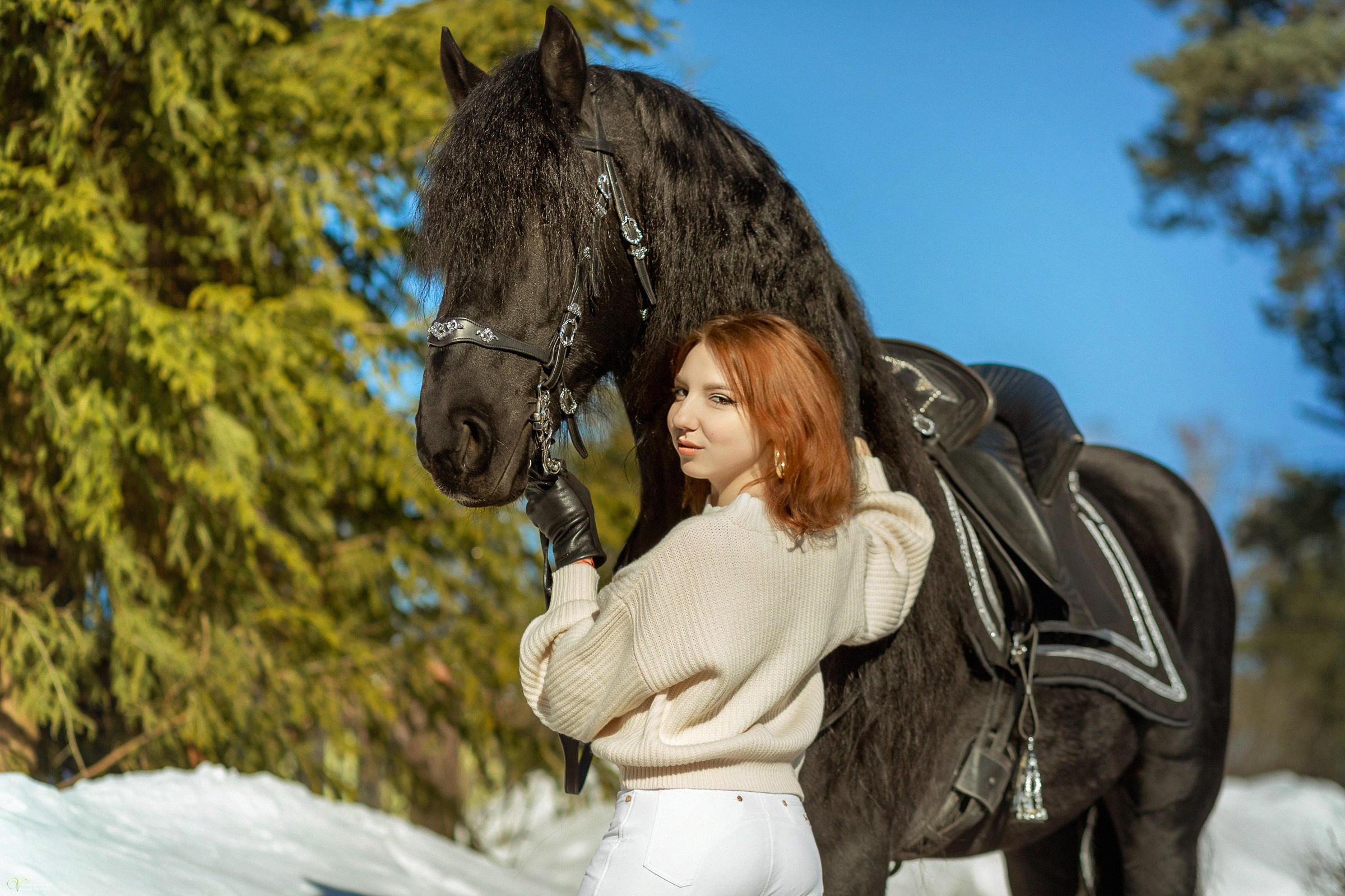 Фотосессии с лошадьми зимой. Фотограф женский и мужской портрет Санкт-Петербург