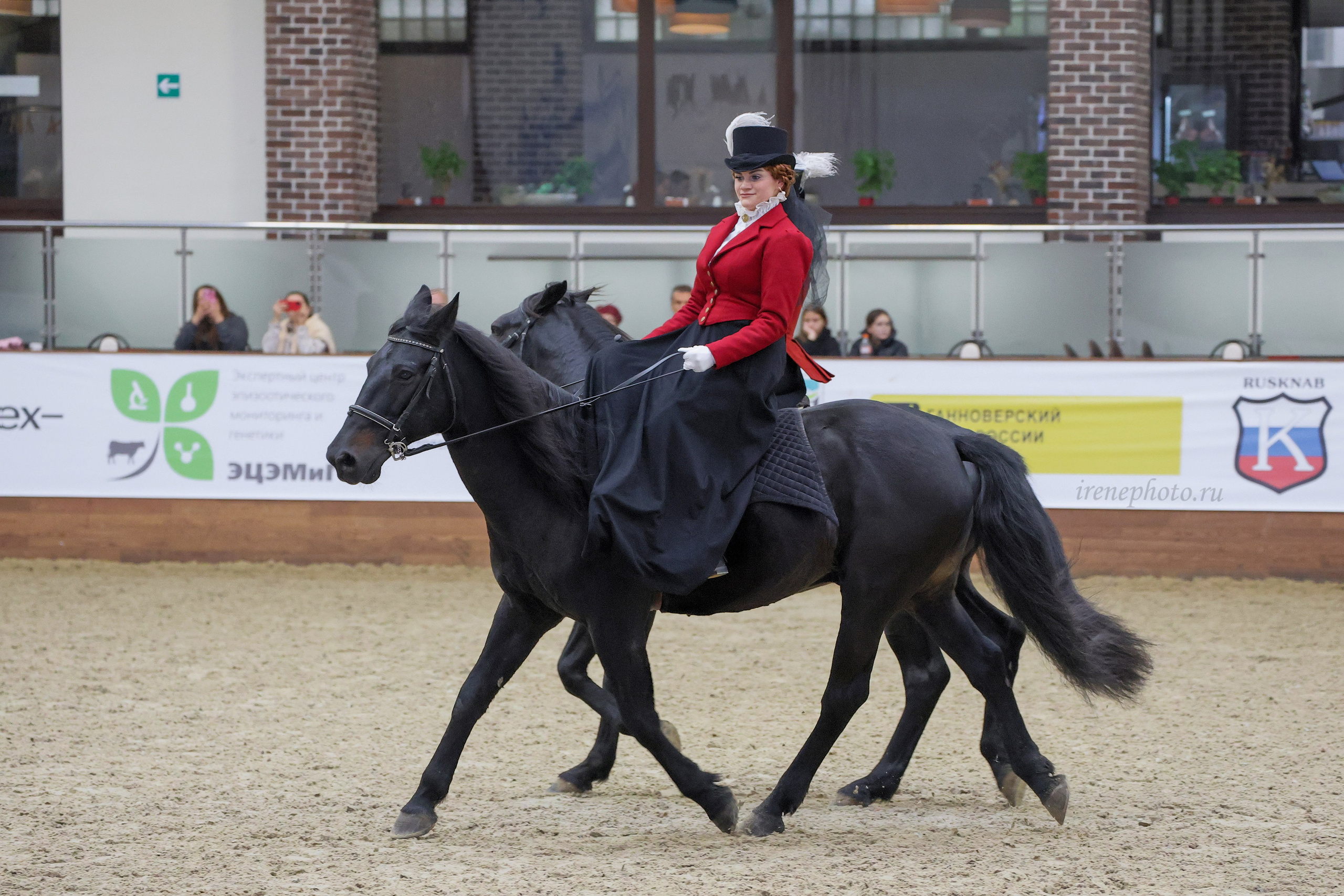 Конная Россия 2024. Irenephoto.ru