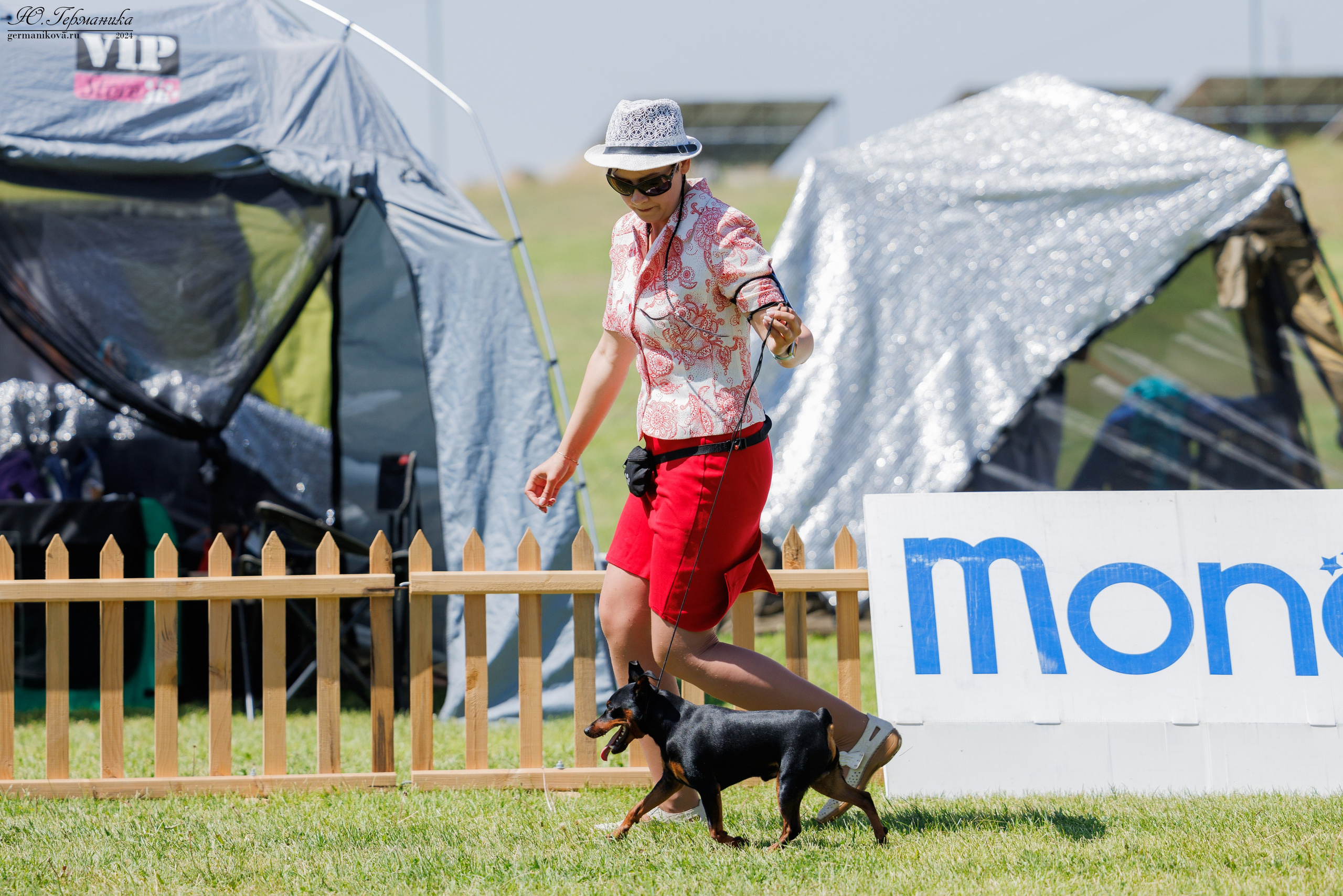 Ереван 3-5.06.2024. Фотограф-анималист Юлия Германика