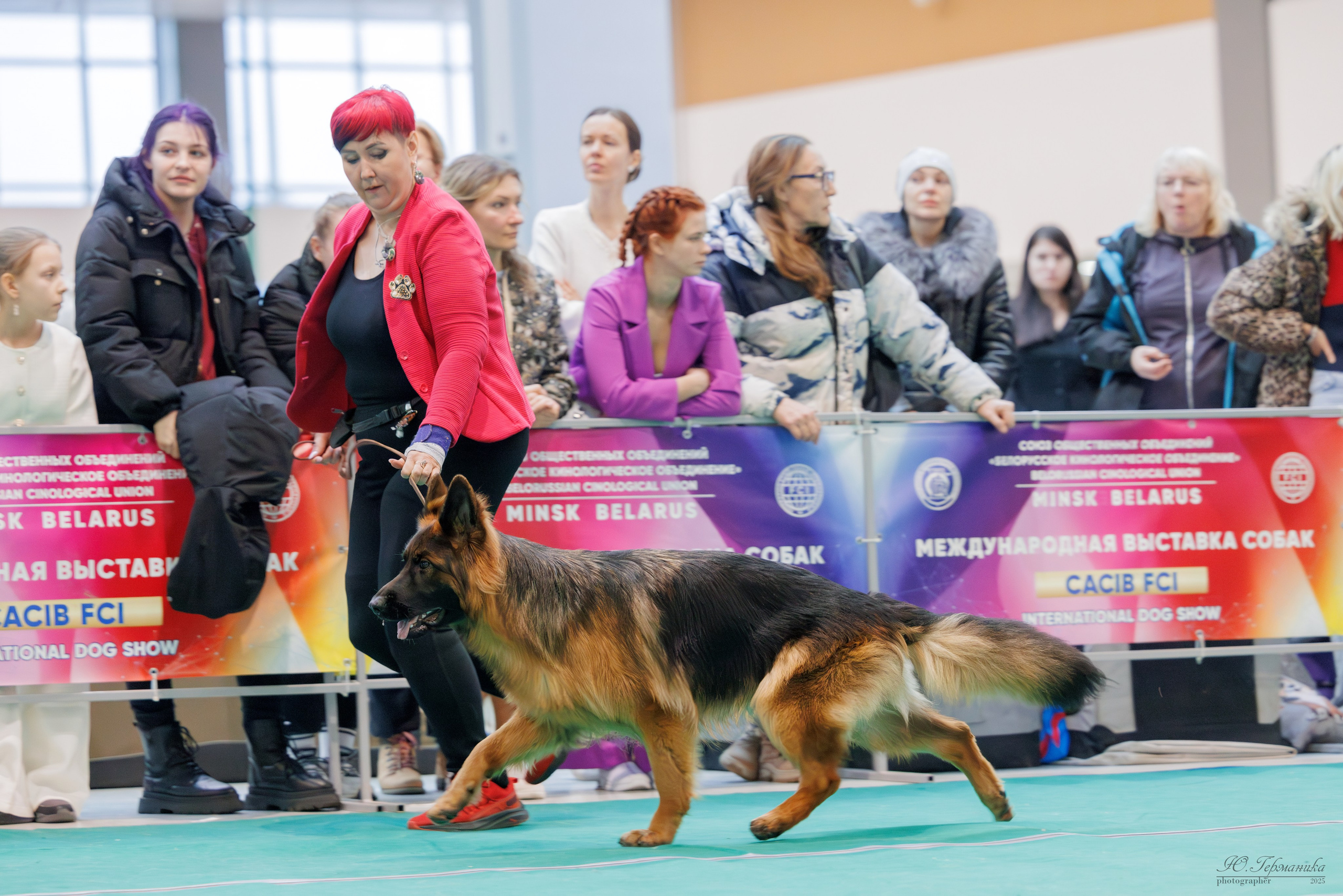 Минск 1-2.03.2025. Фотограф-анималист Юлия Германика