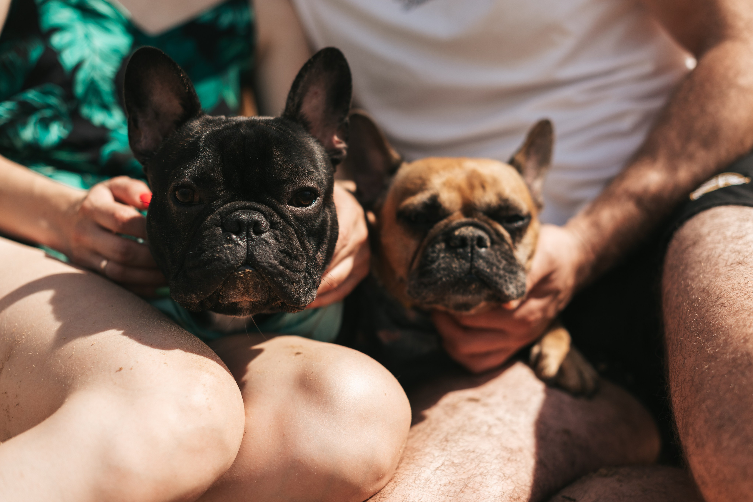 Семейные фотосессии. Фотограф в Минске