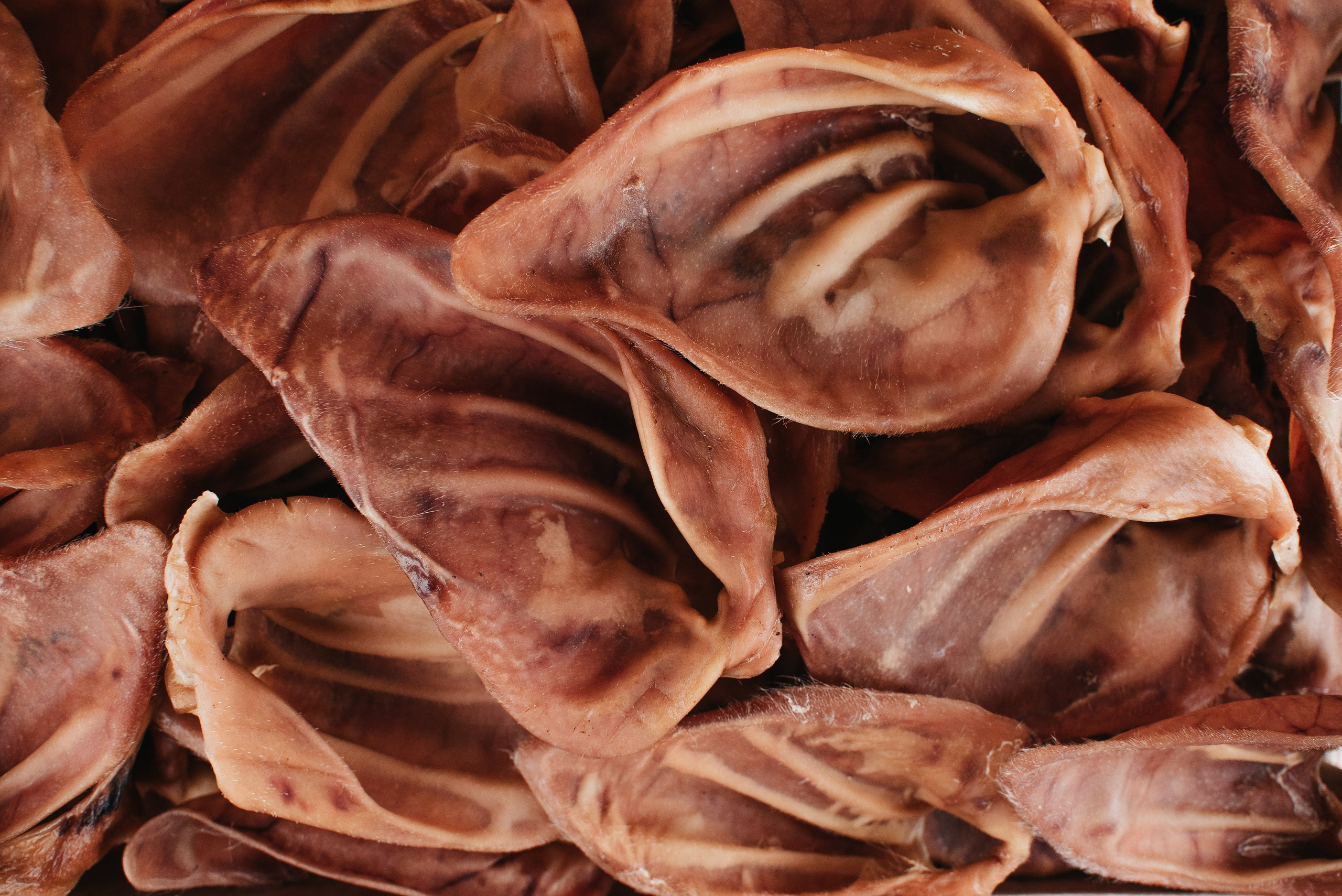 Dog Bone лакомства. Фотограф-анималист Валерия, Москва, Мытищи