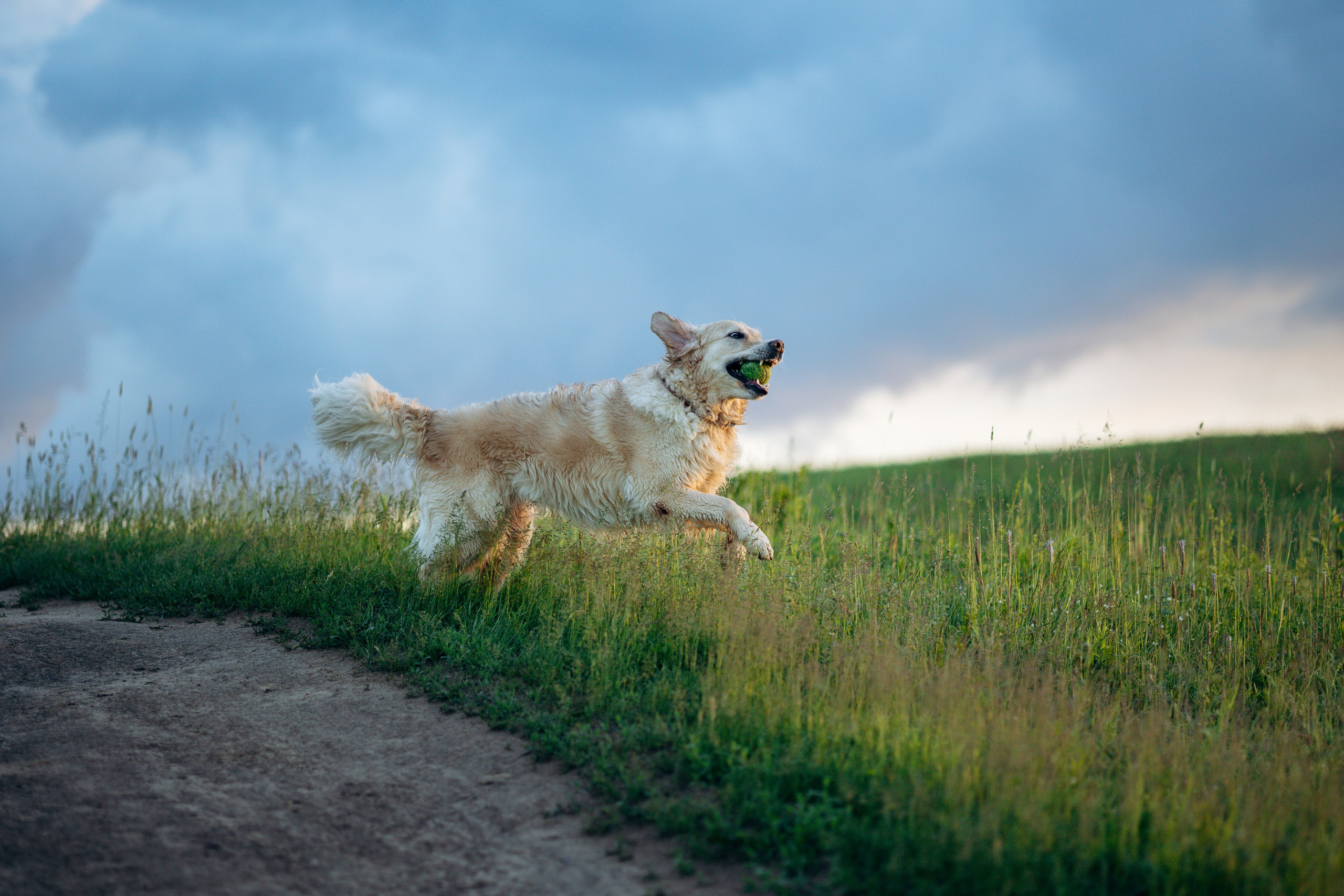 Юля и Руби. Фотограф — Анималист | Санкт-Петербург