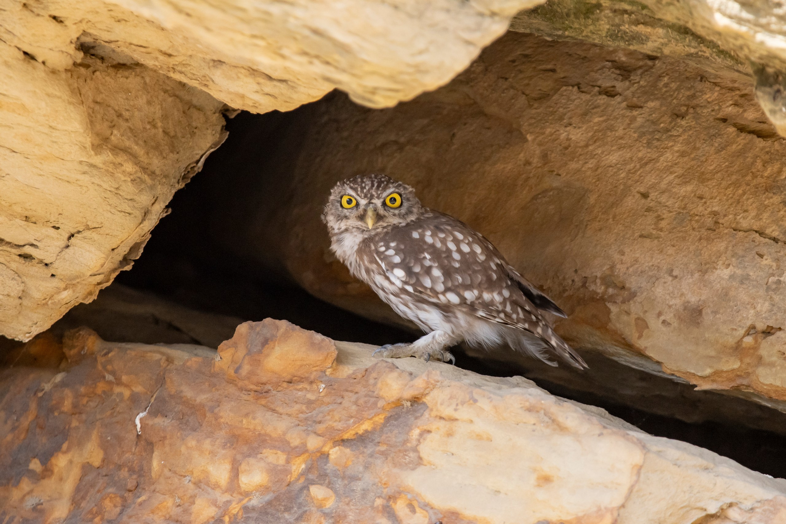 Природа Дагестана, сентябрь 2024. Foto-Zuev фотография как искусство