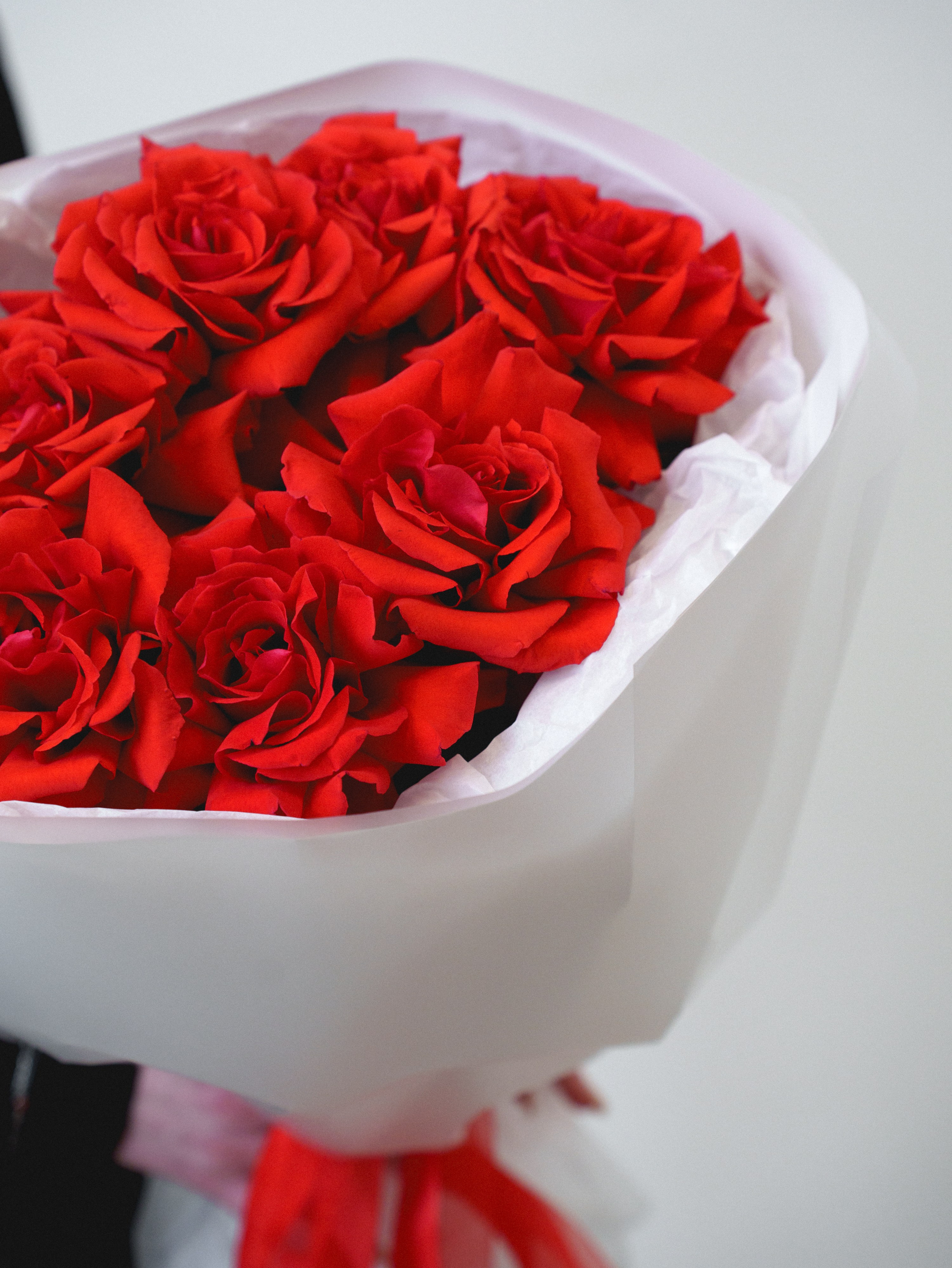 Цветы (контент к 14 февраля). Иван Упоров — фотограф, рилсмейкер чебоксары