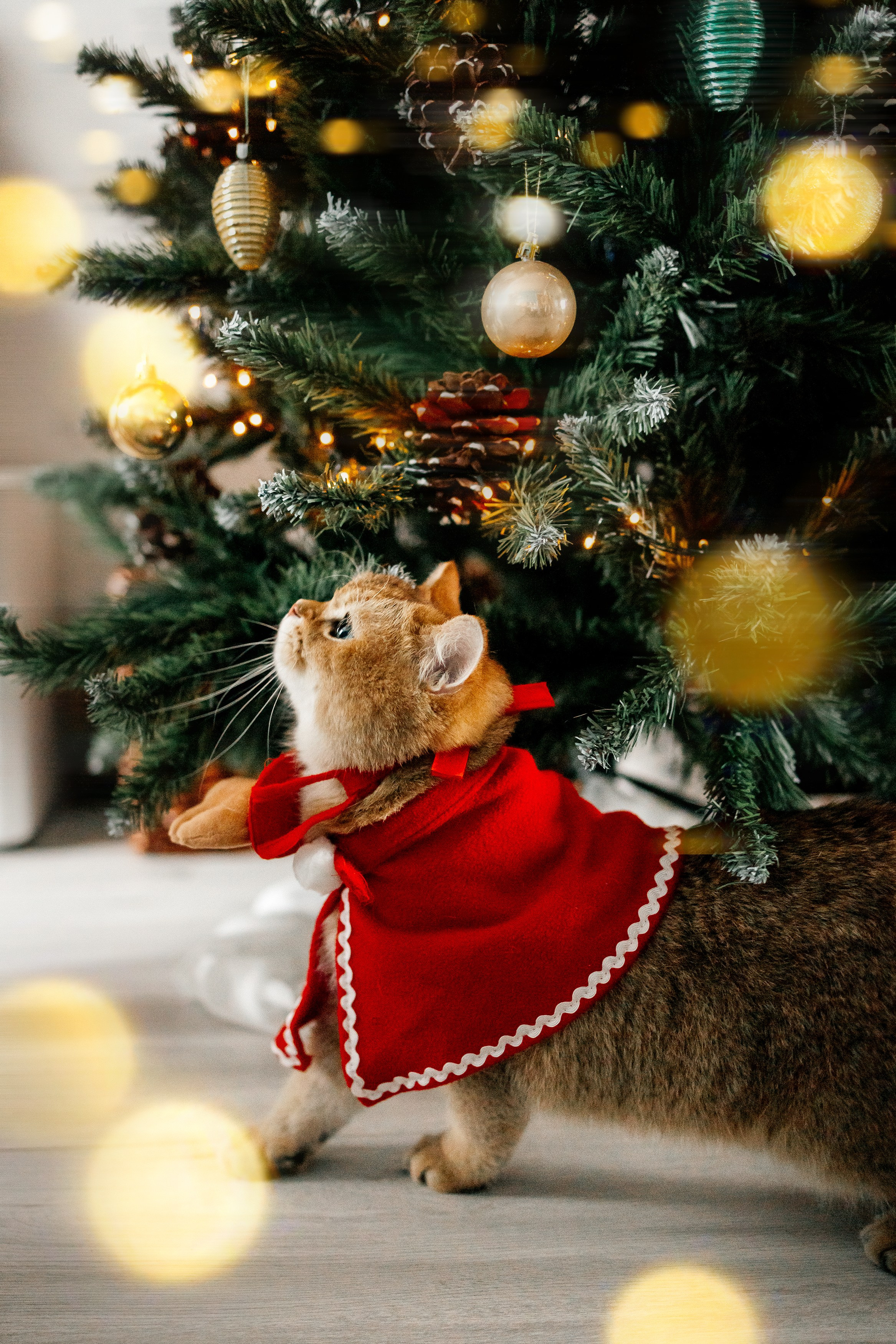 Домашние новогодние истории. Семейный фотограф, детские, семейные, лав стори съемки в Москве