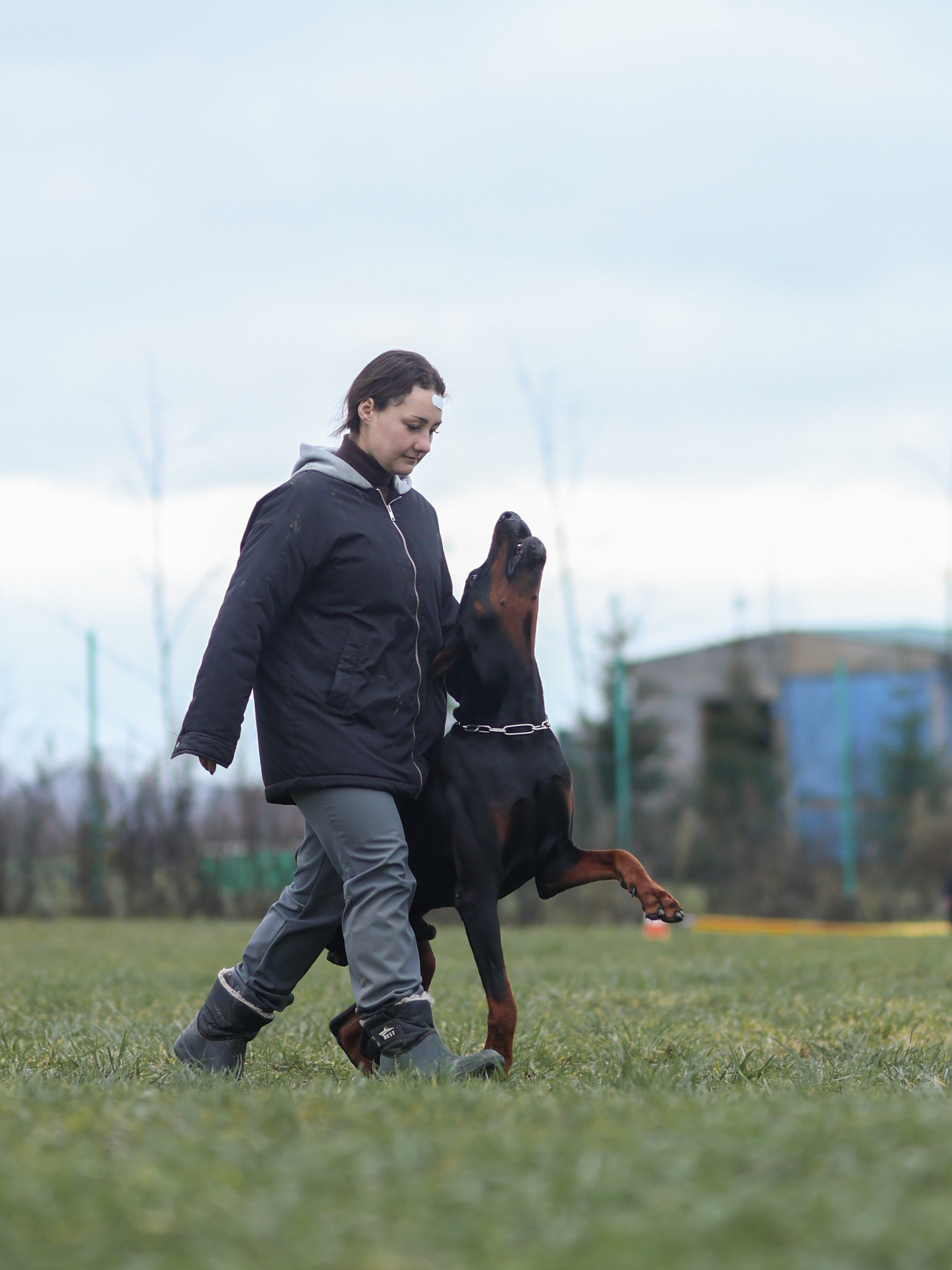 Соревнования BH. Фотограф-анималист в Москве Кириллова Татьяна