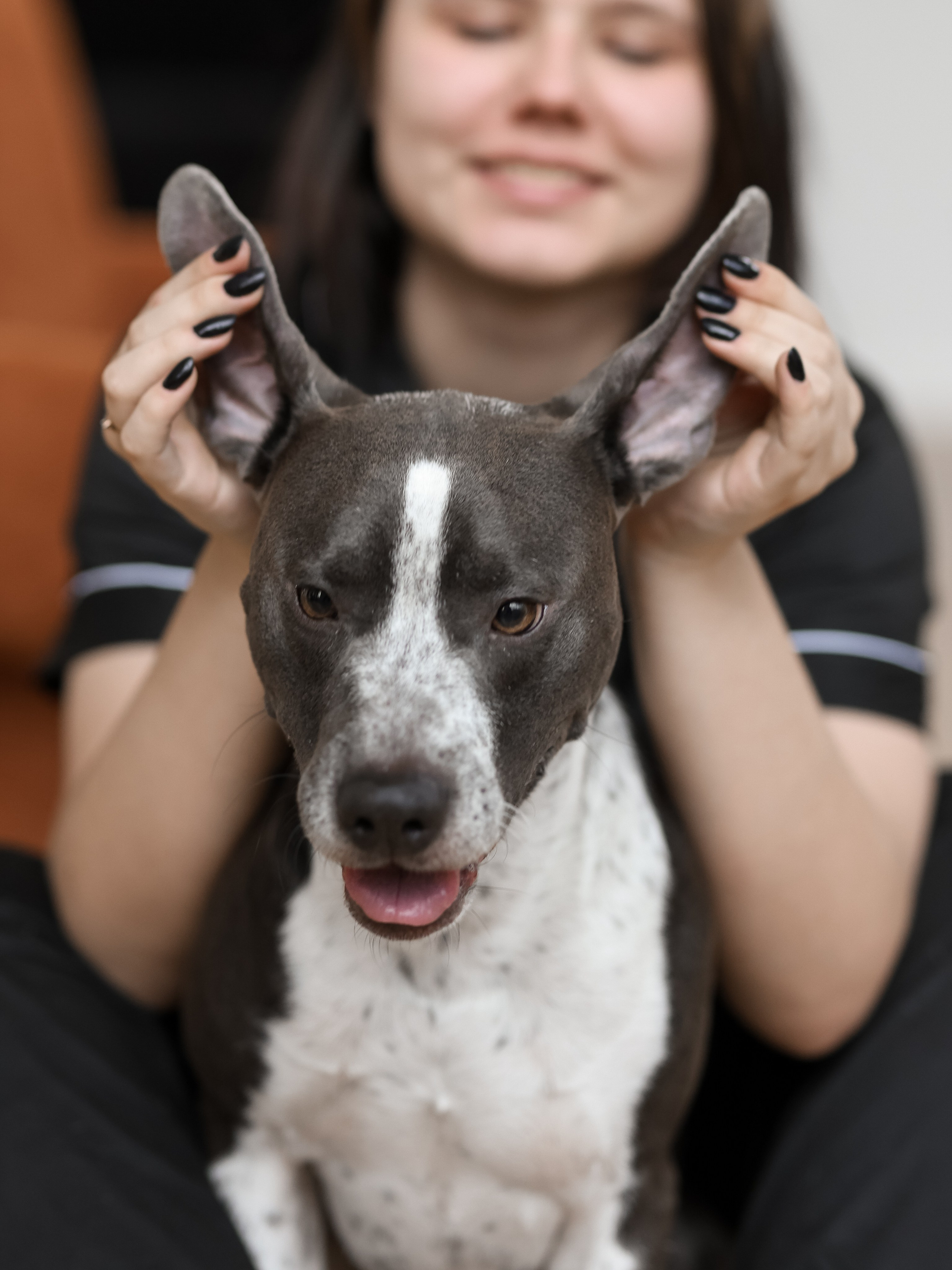 Тортик Даша и Никита. Фотограф-анималист в Москве Кириллова Татьяна