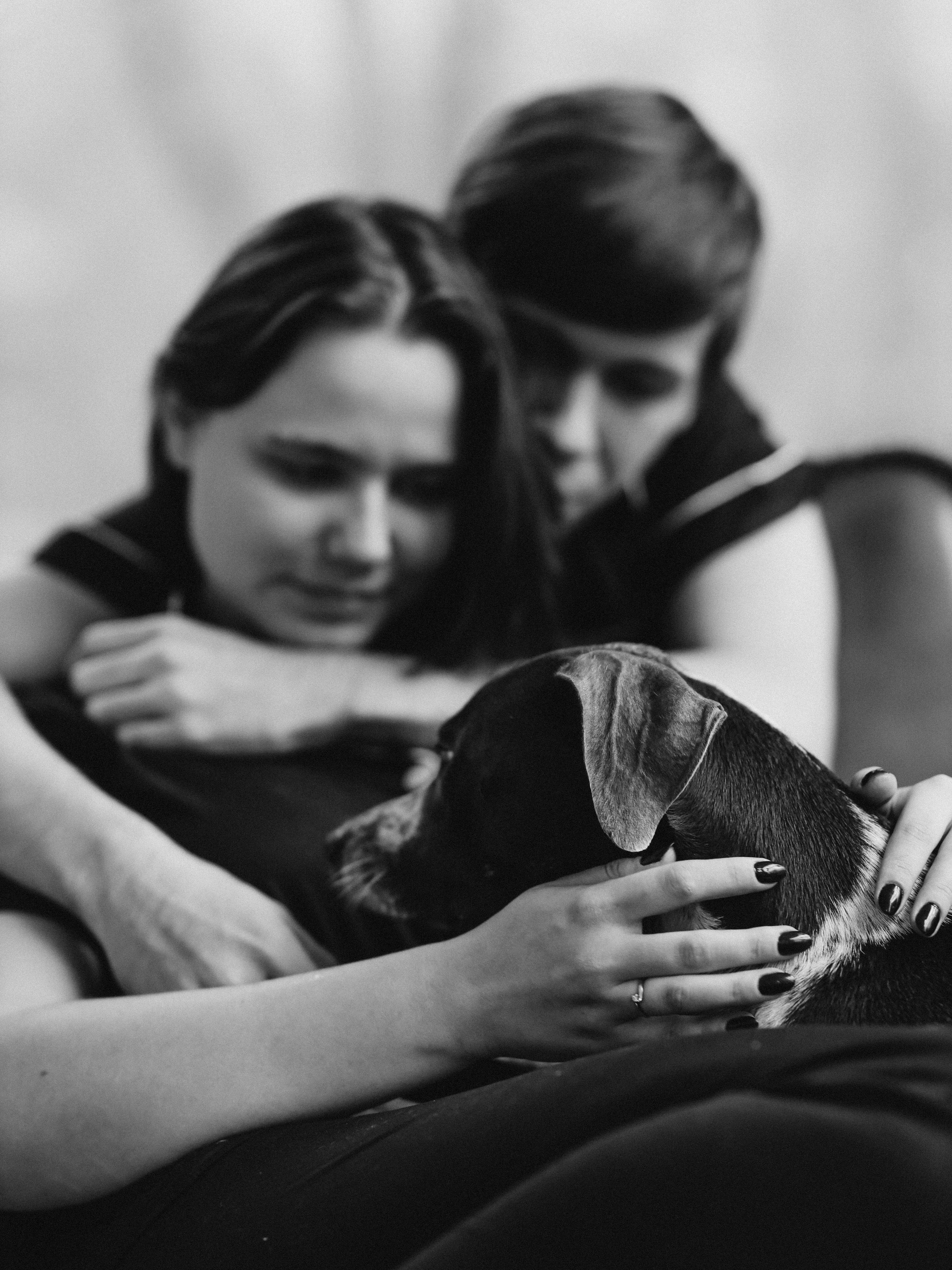 Тортик Даша и Никита. Фотограф-анималист в Москве Кириллова Татьяна