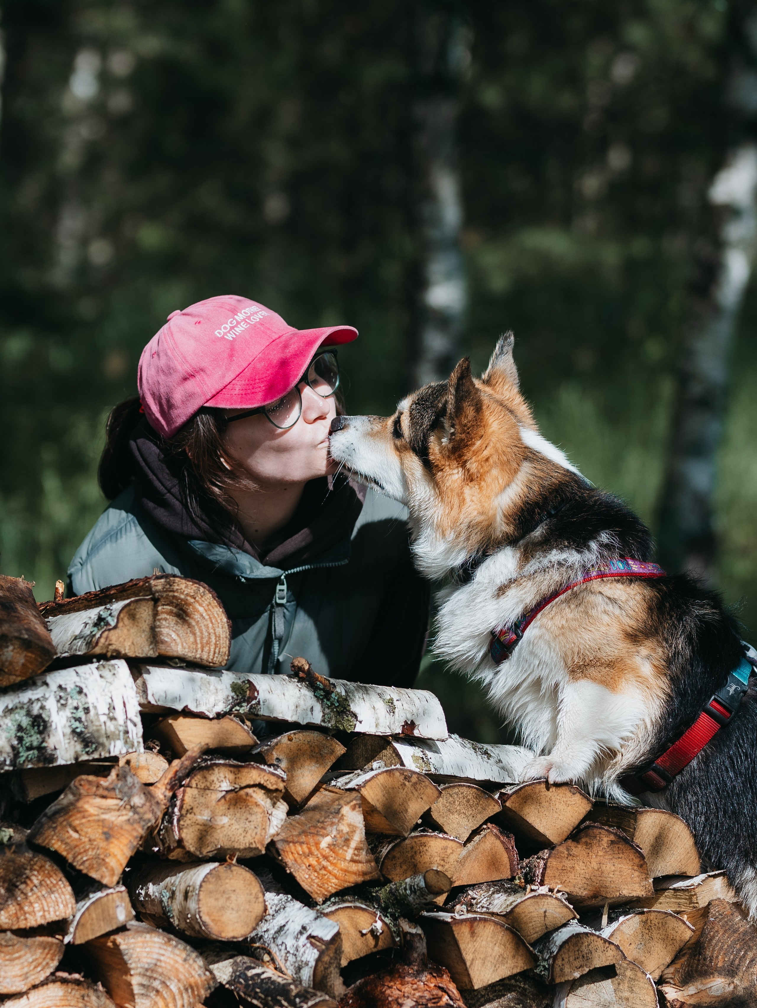 Лагерь ноузворк. Фотограф-анималист в Москве Кириллова Татьяна