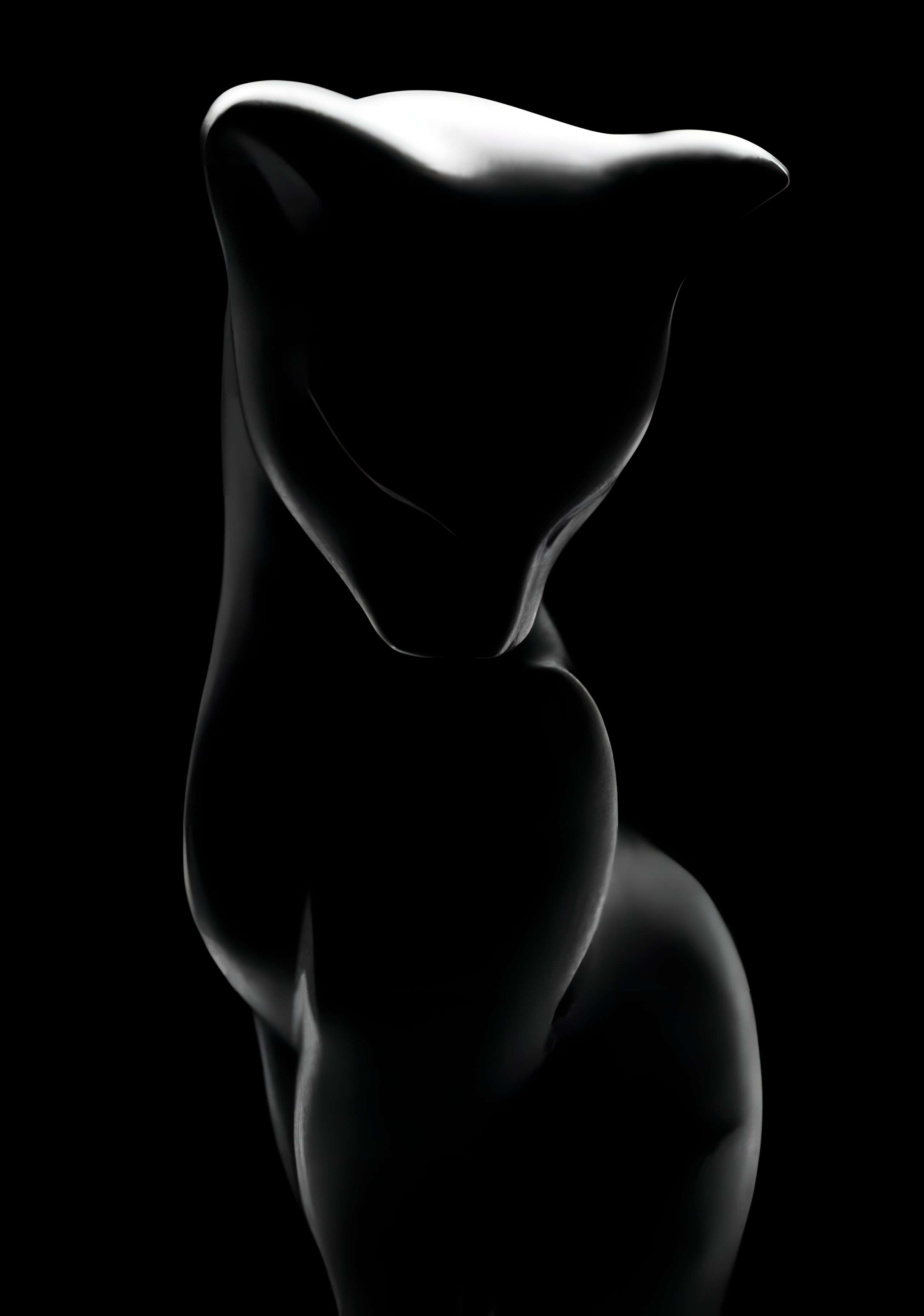 Предметная фотография