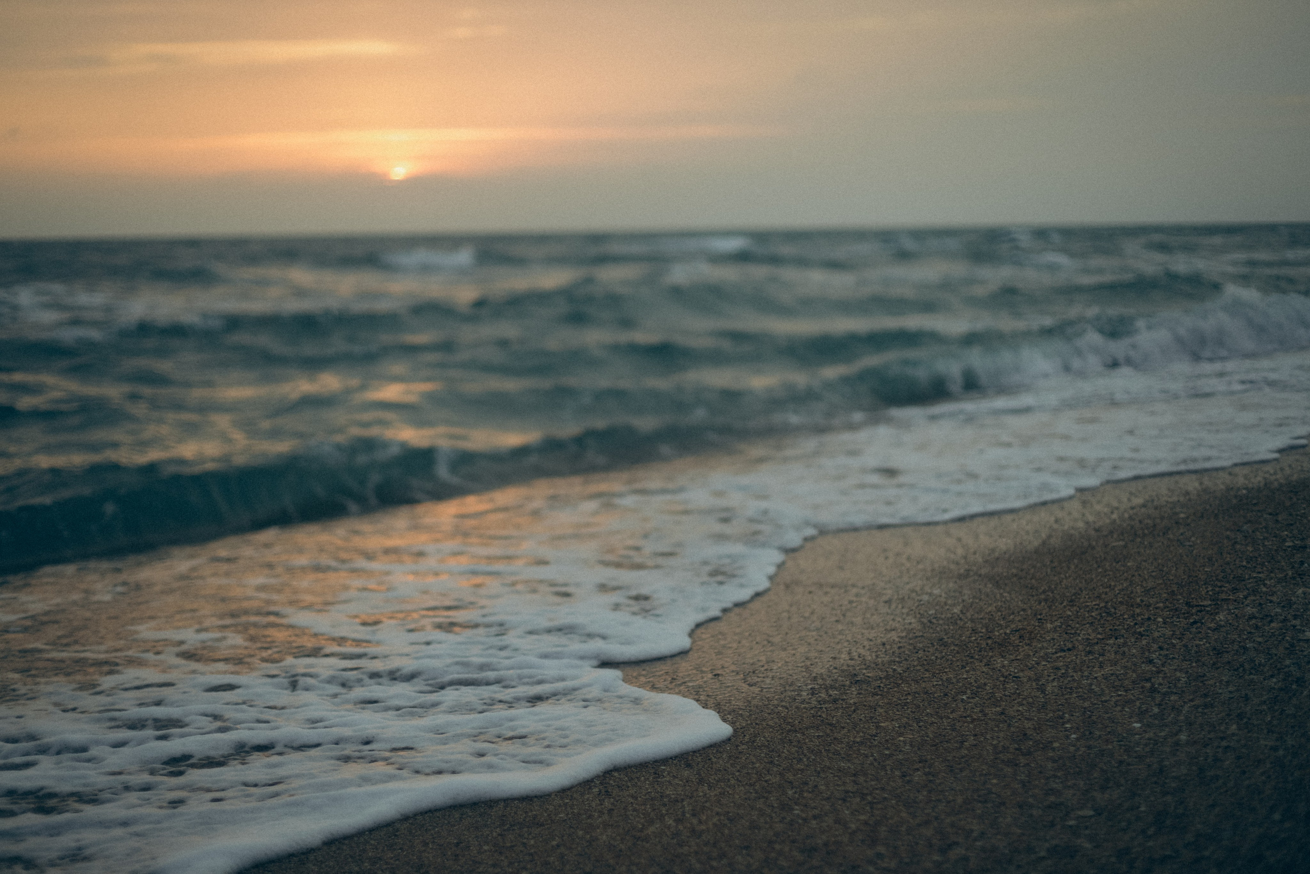 Женя и Платон. Семейный фотограф Анапа