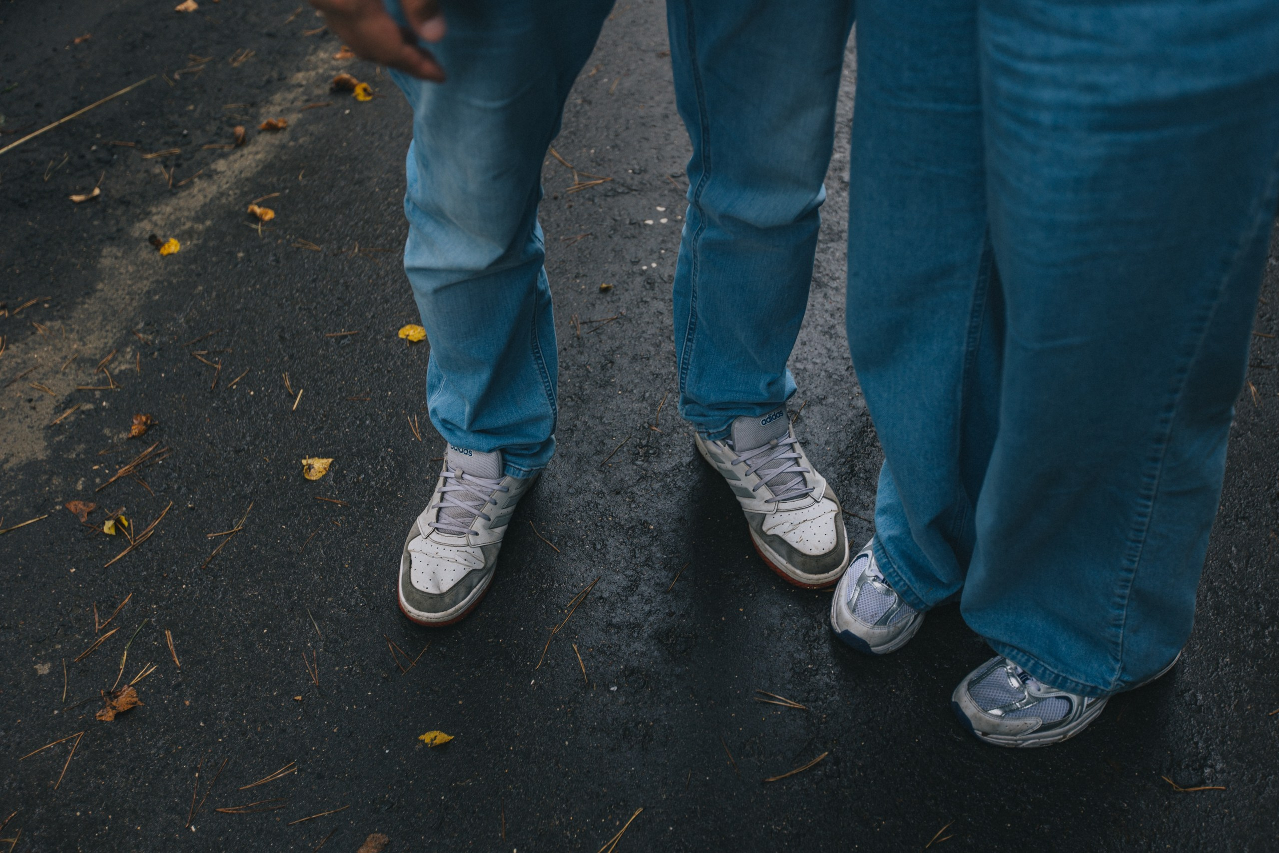 Любовь и Голуби. Обо мне