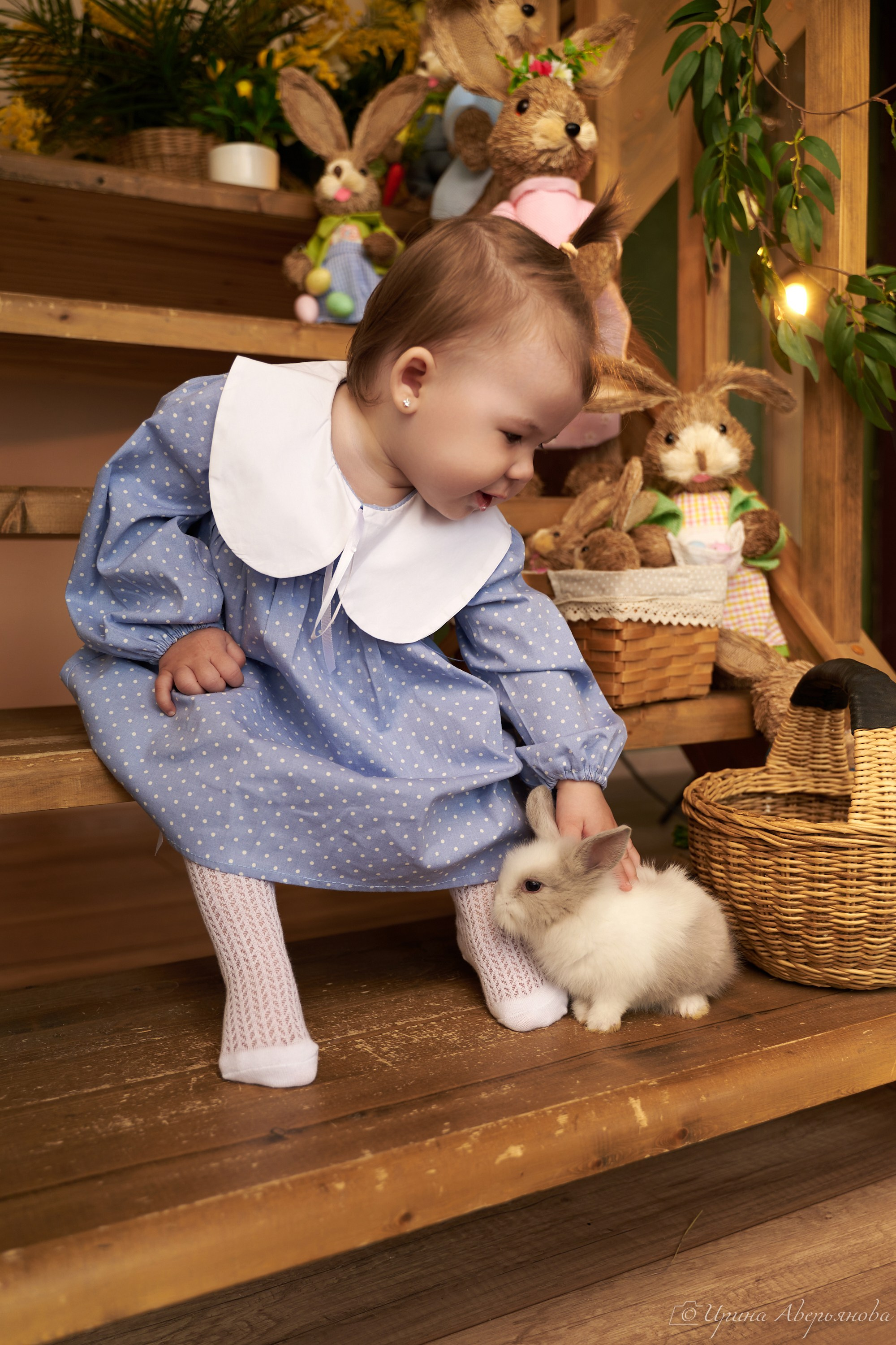Фотопроект с декоративными кроликами. Фотограф в Ульяновске Ирина Аверьянова