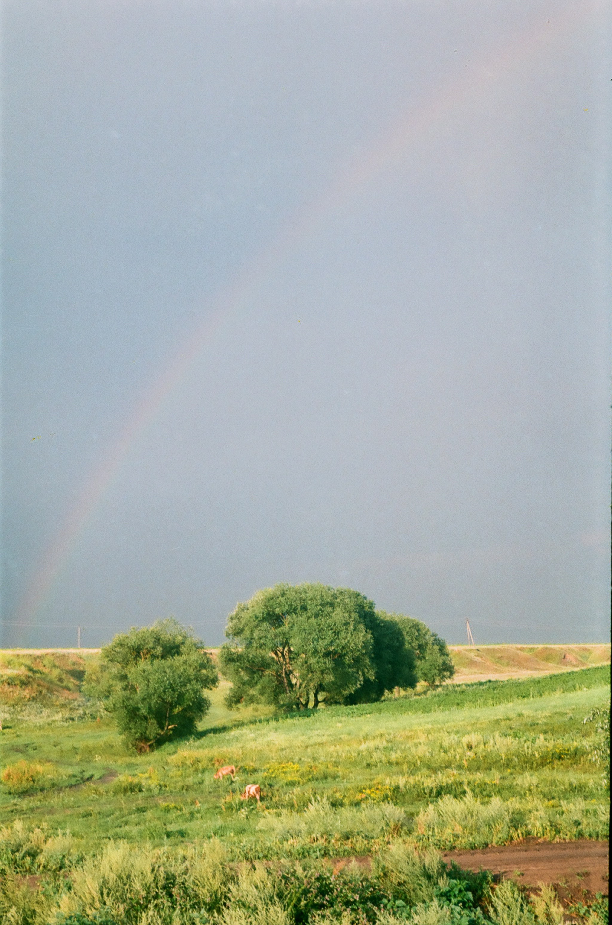 Пленка. Фотограф в Москве Наталья Новикова