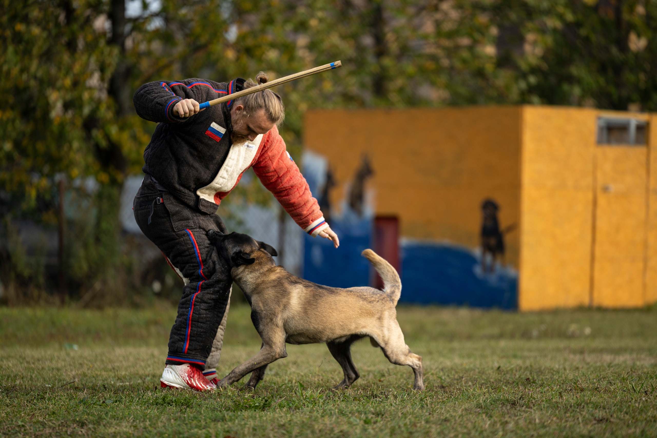 Испытания по Мондьорингу г. Пушкин. Фотограф-анималист Анна Маринич
