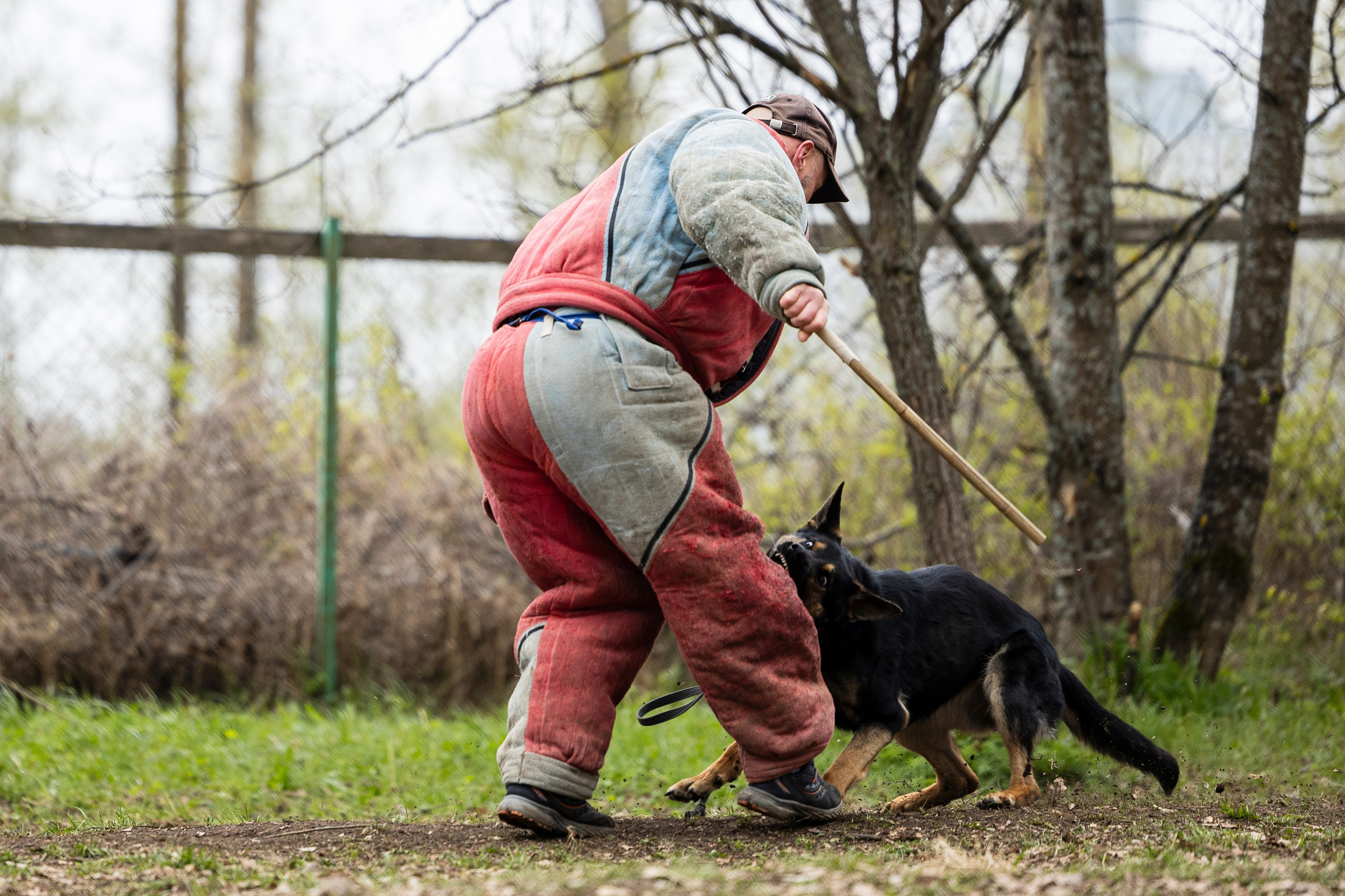 Квалификационные состязания по мондьорингу г. Вологда 11.05.24. Фотограф-анималист Анна Маринич